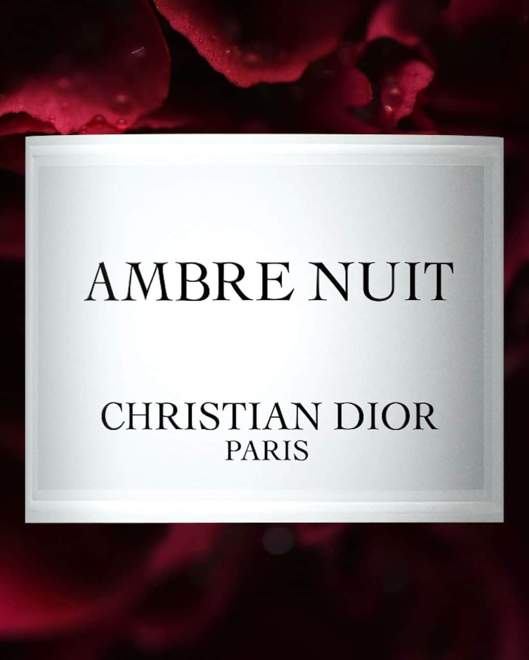 クリスチャンディオールさんのインスタグラム写真 - (クリスチャンディオールInstagram)「MAISON CHRISTIAN DIOR – THE ROSES Ambre Nuit orchestrates an encounter between two extremes: the deep, animal facet of amber with the delicate velvet of Turkish rose. • @diorparfums #MaisonChristianDior as seen by #collage #artist @stefan_gunnesch」7月21日 0時57分 - dior