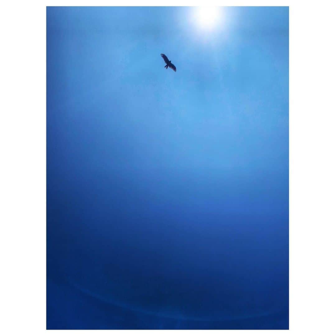 山崎直子さんのインスタグラム写真 - (山崎直子Instagram)「紺碧の空と、茜色に染まる景色に癒された日曜日✨ ・ ・ ・ #空 #夕日 #自然が好き #bluesky #sunset #summer #梅雨明けまだかな #iphone📷」7月21日 0時58分 - yamanaon