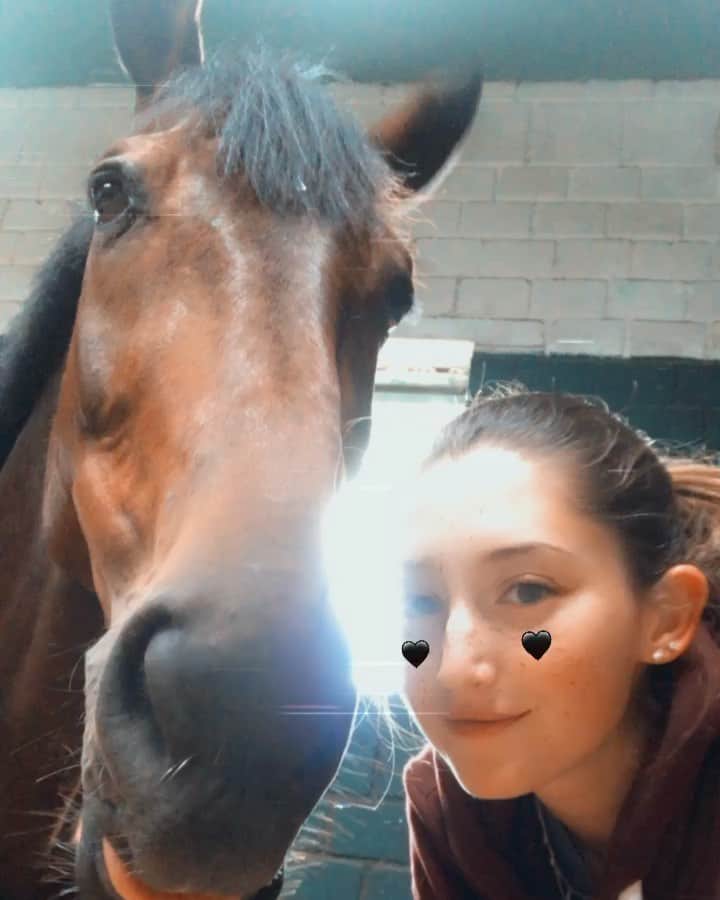 ジュディ舞衣のインスタグラム：「Pommie Pom Pom appreciation post because I miss him on my day off🦄💓 #pommiepompom」