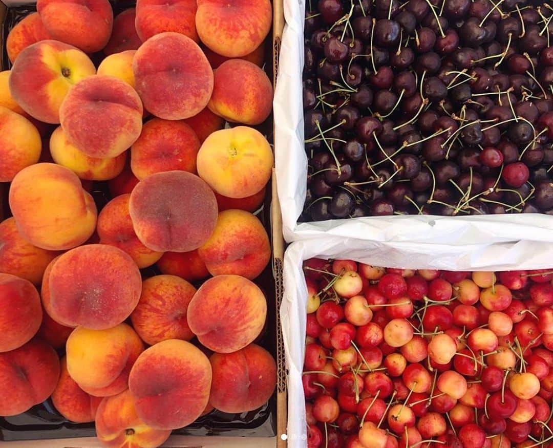 Portlandさんのインスタグラム写真 - (PortlandInstagram)「The @portlandfarmers market - nothing beats fresh, local produce and seasonal fruit!  #portland #pdx #portlandnw #fruit #veggies」7月21日 13時09分 - portland
