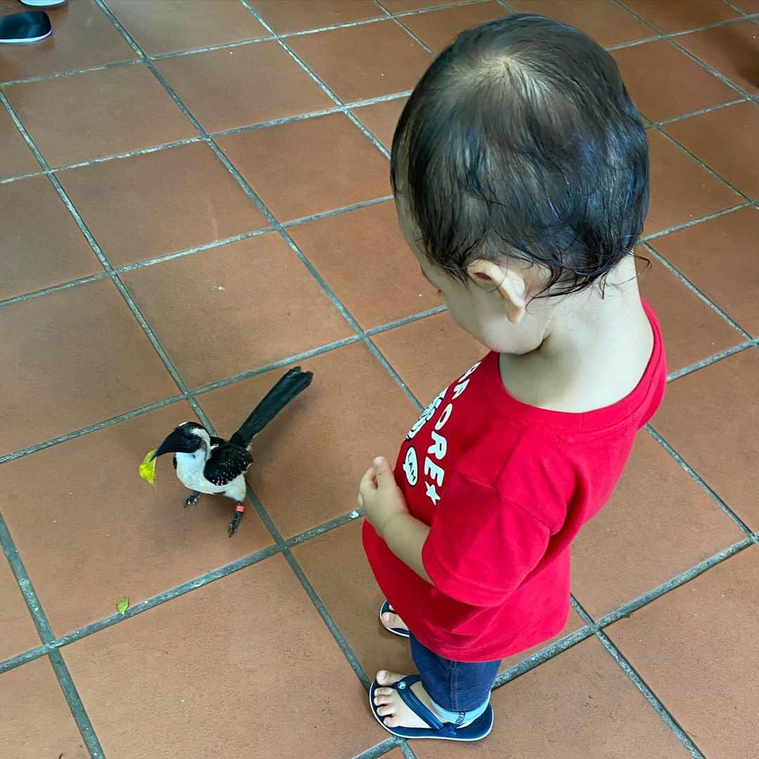 大西蘭のインスタグラム