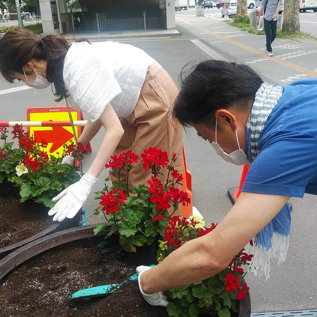 北海道テレビ「イチオシ！モーニング」さんのインスタグラム写真 - (北海道テレビ「イチオシ！モーニング」Instagram)「お花の季節ですね！  イチモニ！の放送後、林アナと石沢アナで、カナモトホール（札幌市民ホール）前の花壇の花植えのお手伝いをしました！  この取り組みは、札幌中心部を花と緑にあふれた魅力ある町並みにしようと、ＮPＯ法人や札幌市のみどりの推進部らが協力して行っています。  花の配置や植える高さなど、お手伝いして初めて苦労がわかりました。  #htb  #イチモニ #札幌市」7月21日 11時52分 - htb_ichimoni