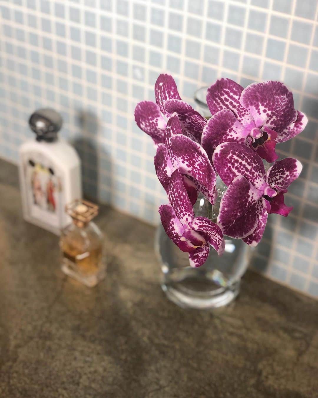北岡りえのインスタグラム：「new 🏺🥀  今週のお花は一目惚れした パープルの蘭💜  #flowervase」