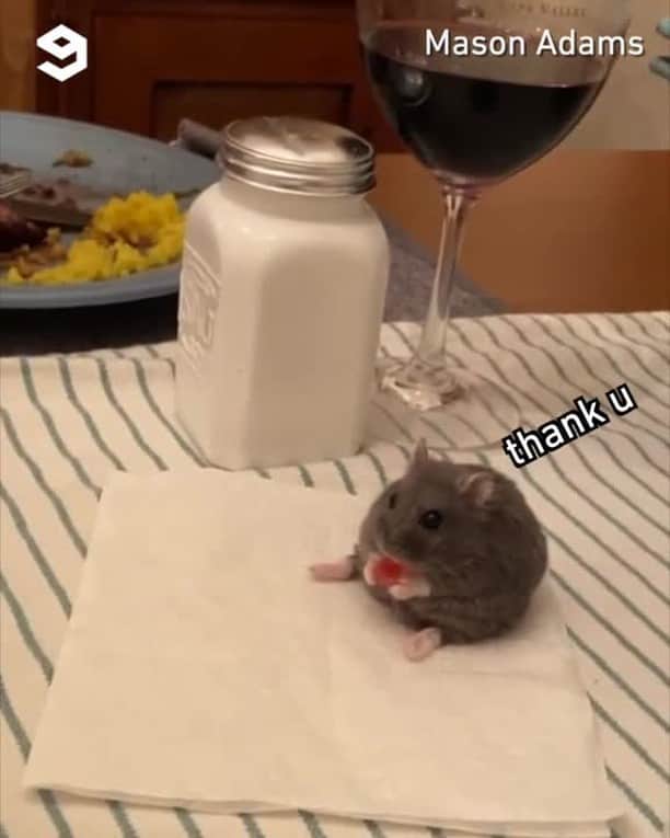 9GAGのインスタグラム