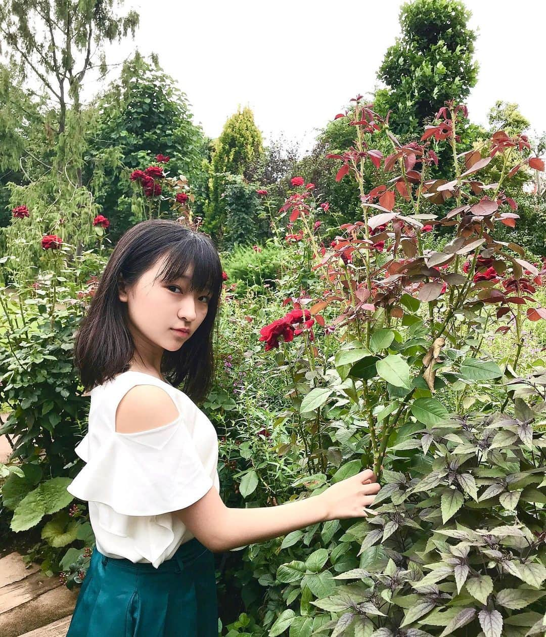 前野えまさんのインスタグラム写真 - (前野えまInstagram)「今日も1日頑張ろう🥀 ・ ・ #薔薇 #🥀 #花と私 #花写真 #赤 #紅 #前野えま   #red #rose #crimson #scarlet #flowerstagram #flowerphotography  #followme #tagsforlikes #tflers #tagsforlikesapp #actress #actor #girl #photography #portrait #portraitphotography」7月21日 6時39分 - maeno_ema