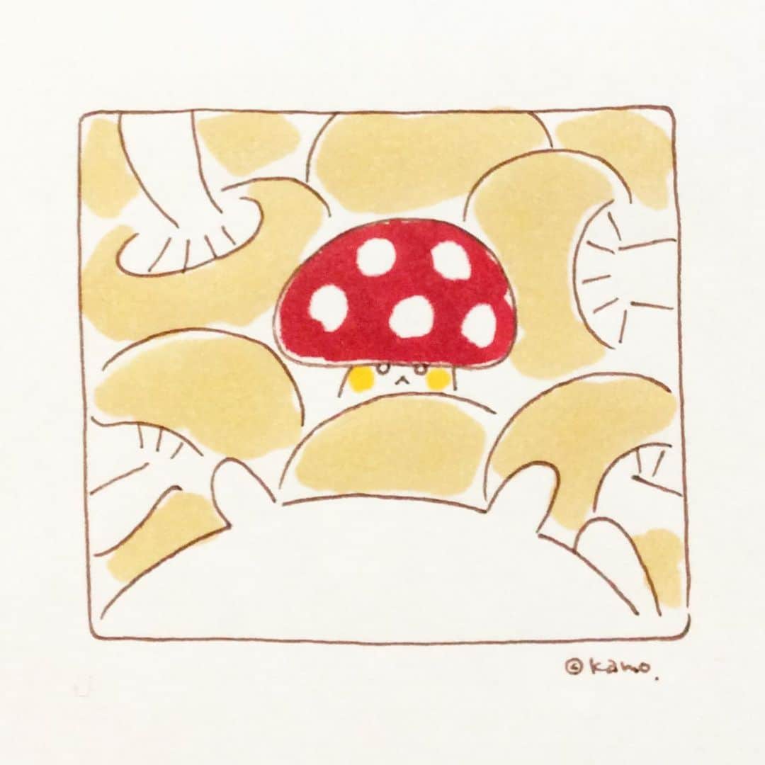 カモさんのインスタグラム写真 - (カモInstagram)「再会 #きのこ#mushroom#イラスト#illustration#ウサギタケ#usagitake」7月21日 10時01分 - illustratorkamo
