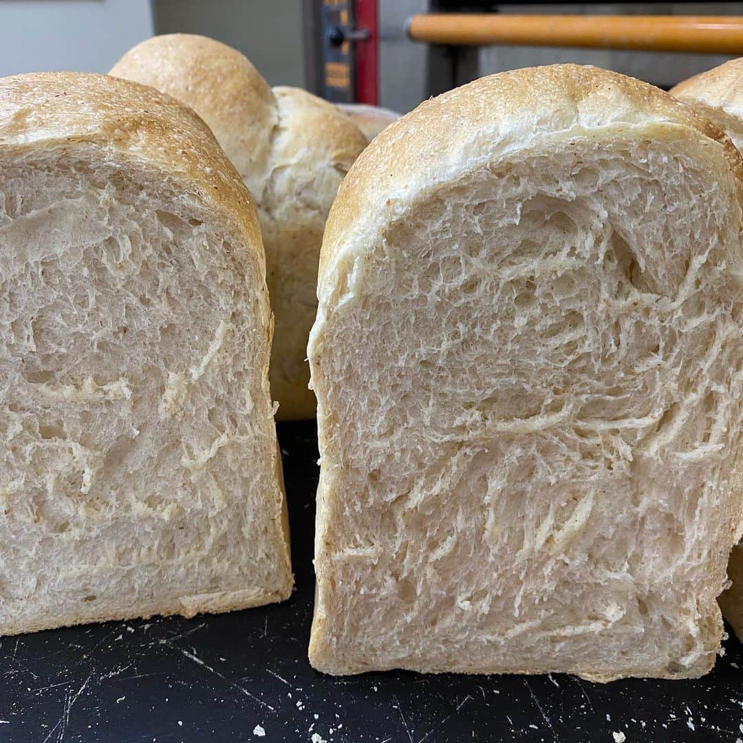 魔女菅原のグルメインスタ