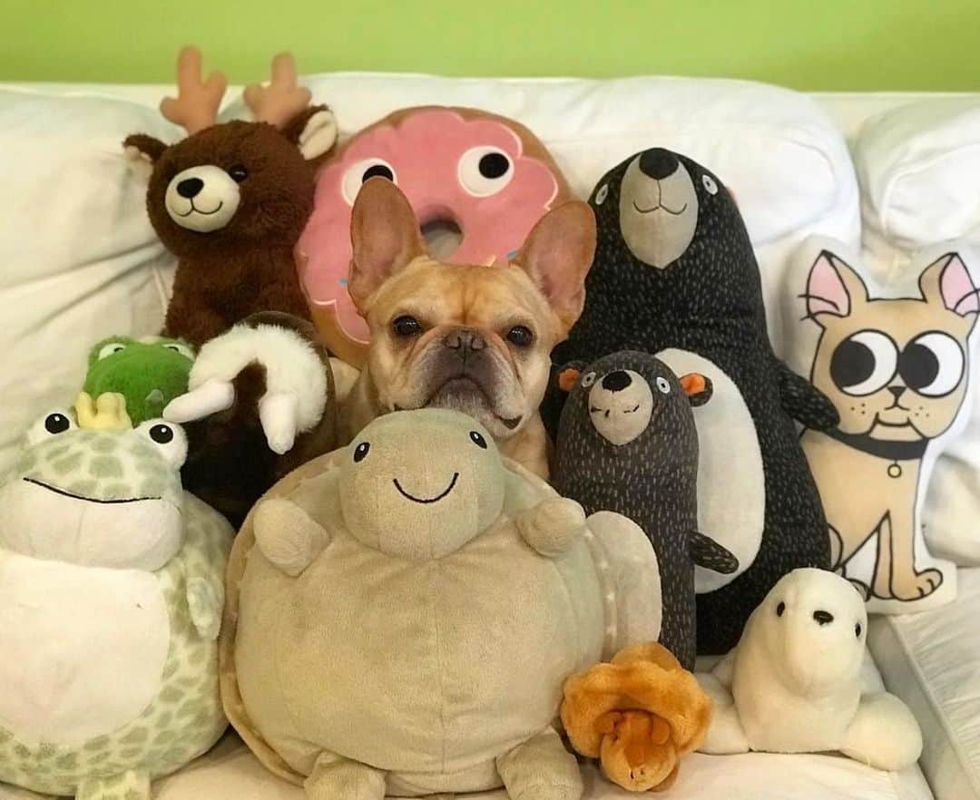 Hamlinのインスタグラム：「When the crew and me got together in our pre-Covid, pre-Zoom, pre-2020, pre-“six feet apart” days. Life was grand back then. .......... #superawesomehappyfunsquadron」