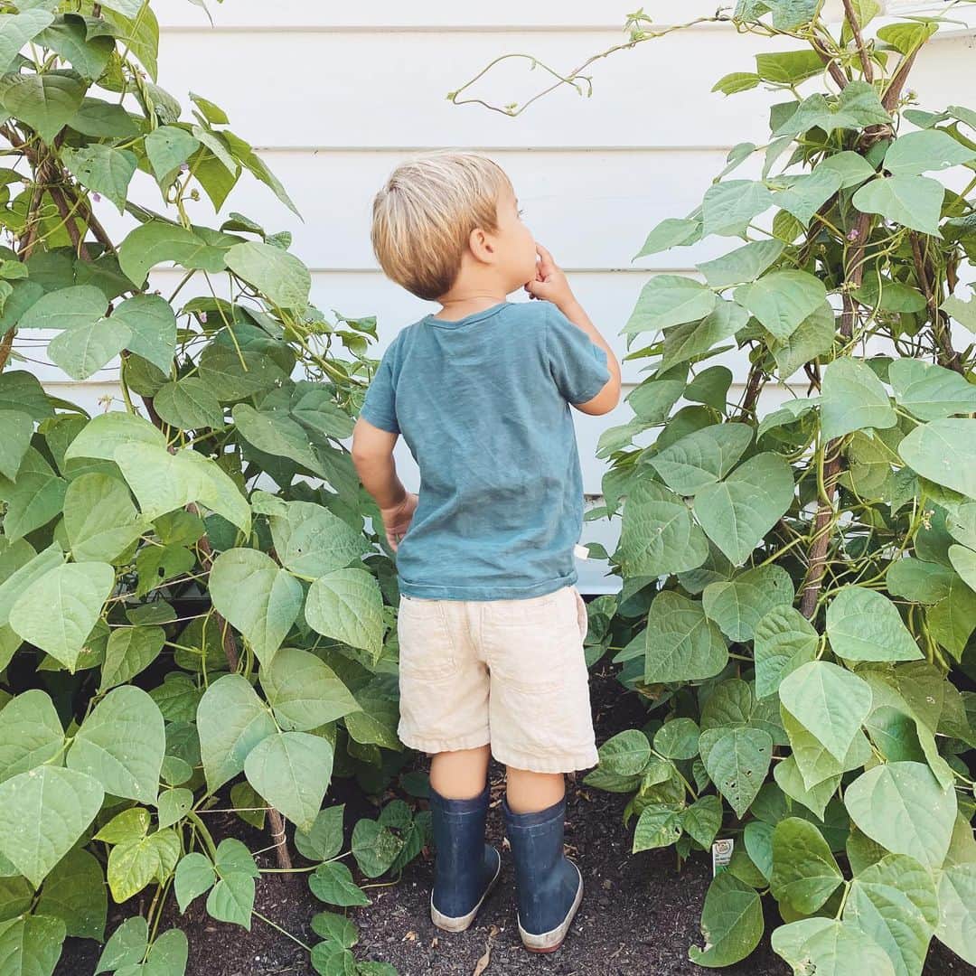 ローレン・コンラッドのインスタグラム：「On the hunt for green beans...」