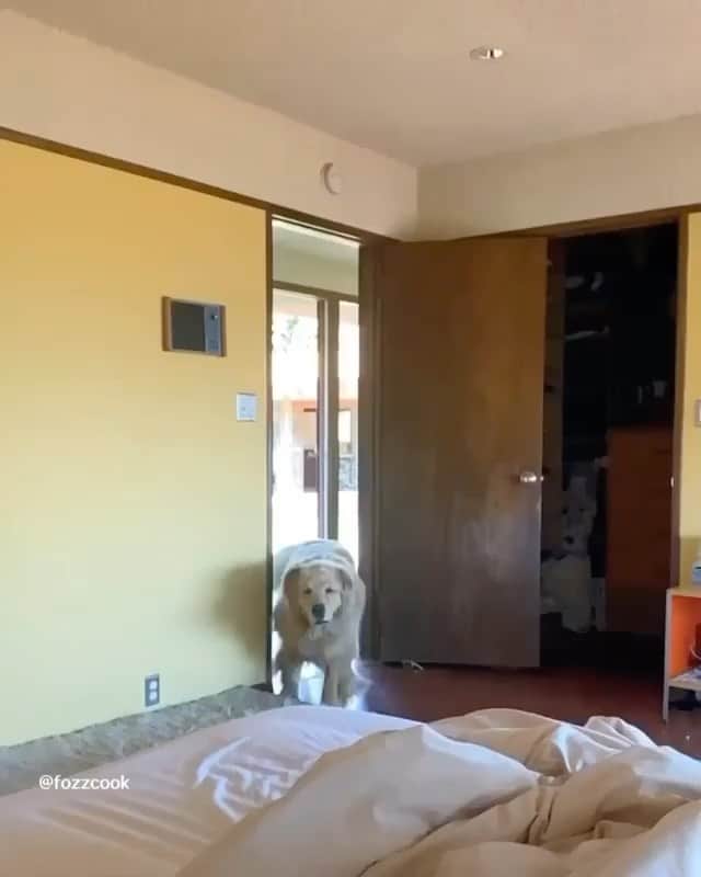 The Critter Havenのインスタグラム：「Good Morning!  Video by @fozzcook #TheCritterHaven」