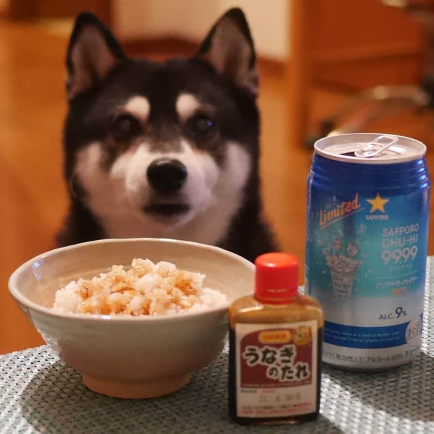 くろさんのインスタグラム写真 - (くろInstagram)「土用の丑の日ですし➰ 白メシに🍚うなぎのたれ😋 安上がりな土用の丑の日www #フォーナインwithfood  #土用の丑の日 #うなぎのたれ #⭐️SAPPORO #フォーナイン #高純度ウォッカ #後味スッキリ雑味ゼロ  #クリアドライサイダー #サッポロビール」7月21日 21時24分 - m6bmw