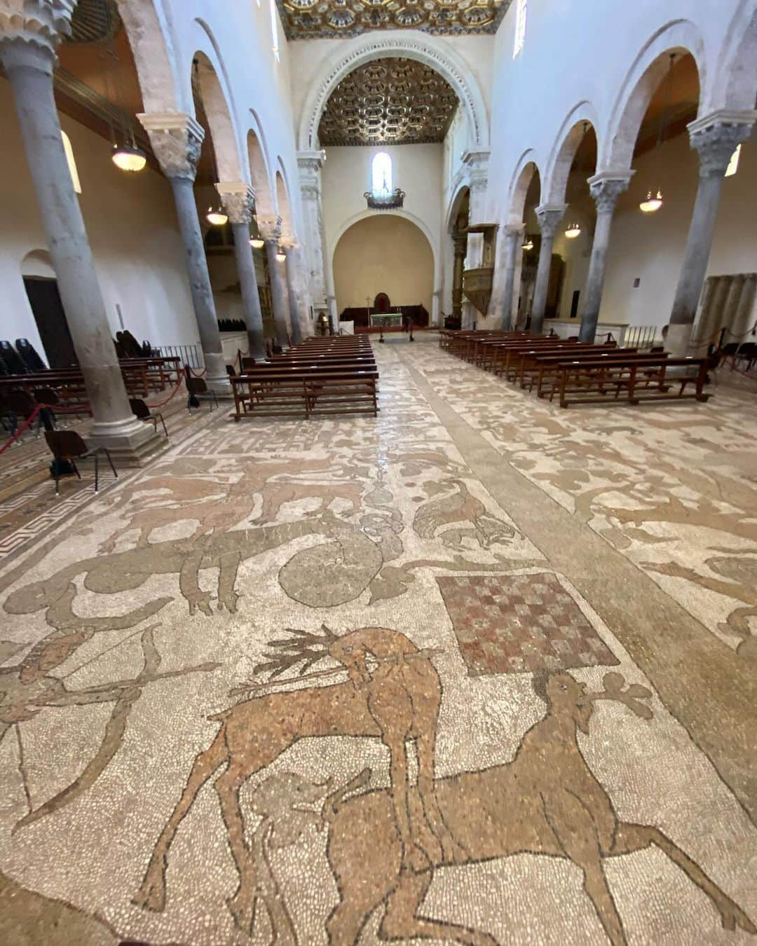 キアラ・フェラーニさんのインスタグラム写真 - (キアラ・フェラーニInstagram)「Today visiting Cattedrale di Otranto, where the biggest floor mosaic of Europe is situated and @lecostantine_csf, a female foundation that supports traditional craftmanship 🙏🏻 Filming all of these amazing places with @dior and @ifexperience #supplied #DiorCruise」7月21日 21時30分 - chiaraferragni