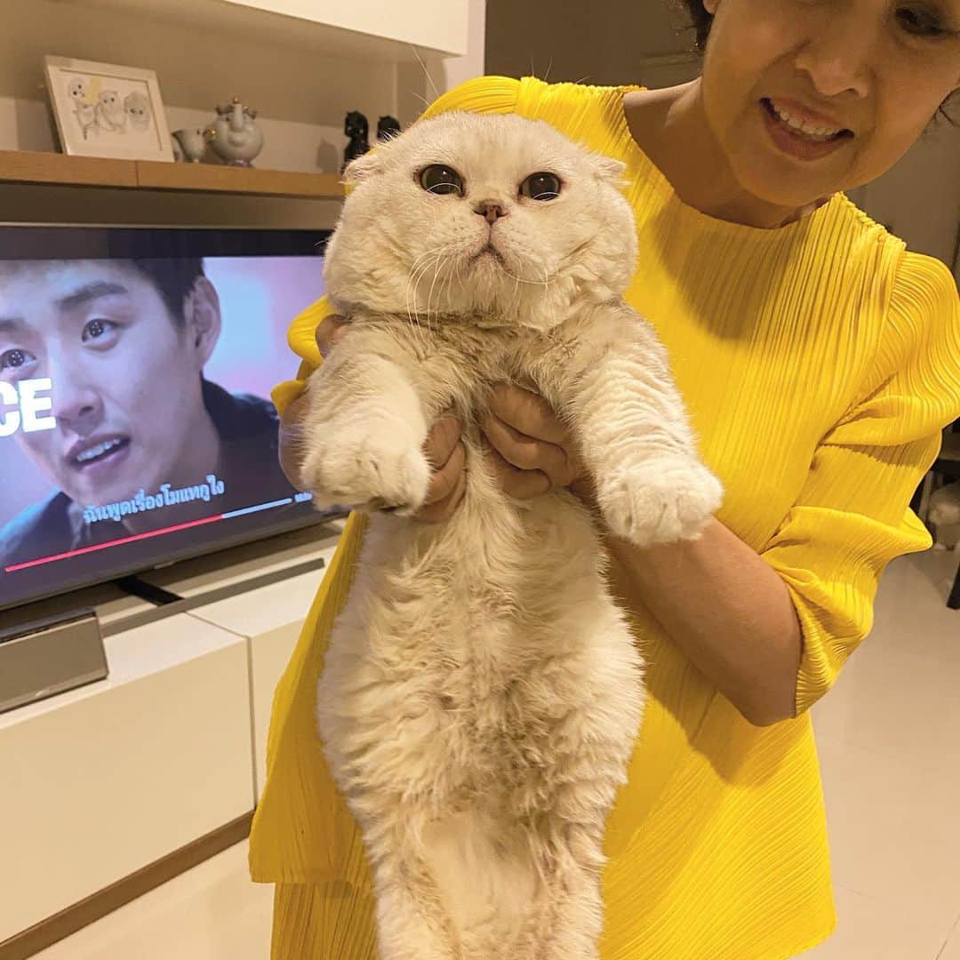 のインスタグラム：「วันจันทร์สีเหลือง 🐤🌻💛 #กึ๋ยๆ #เหลือมรุ」