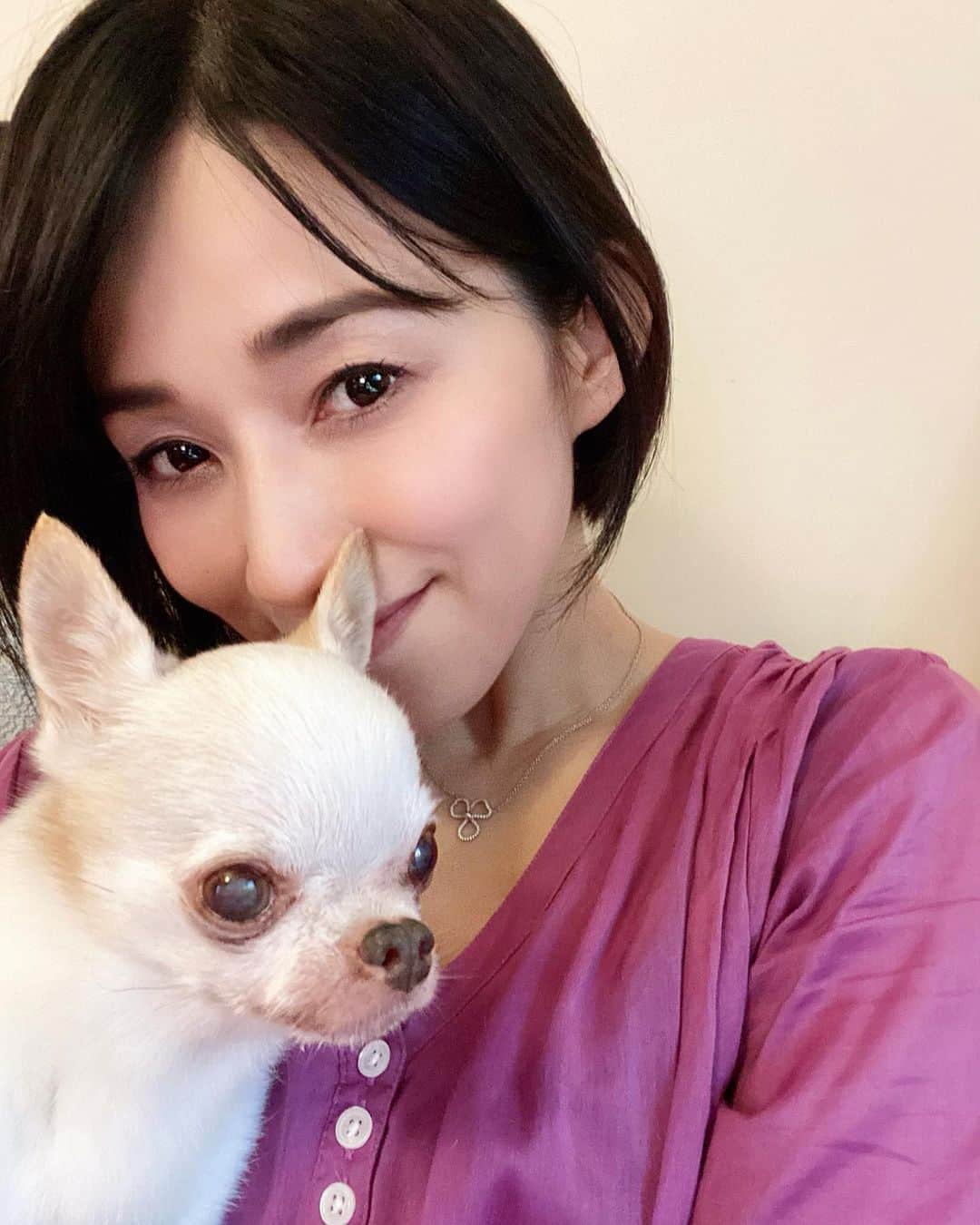 のインスタグラム：「16歳になったラテさん。 目も耳も、足腰も少しずつ弱ってきたので、少しずつ介護生活です。 夜中に二回、ラテのトイレのお手伝いに起きるのにも慣れました笑 手がかかるのも、可愛いものです😊🐶  #ちわわ #chihuahua #ちわすたぐらむ #チワワ #チワワのいる暮らし #ちわわ部 #チワワ部 #dogstagram #dog #犬用ケーキ #老犬 #老犬との暮らし #シニア犬 #シニア犬との暮らし #シニア犬16歳 #誕生日 #おめでとう #長生きしてね🐶」