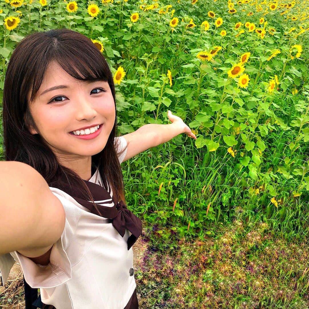 山本ゆうかのインスタグラム：「﻿ ﻿ 最後のひまわり🌻﻿ ﻿ ﻿ ﻿ #ひまわり #ひまわり畑 #制服 #セーラー服 #佐用町  #佐用町ひまわり﻿ #ポートレートモデル  #関西サロモ #被写体 #ポートレートしま専科  #ビジョビ #キリトリセカイ #スクリーンに恋して #カメラマンさんと繋がりたい  #サロモ募集中  #portraitphotography #good_portraits_world  #instagood #instaportrait #lovers_nippon  #イチナナライブ #17live #イチナナライバー」