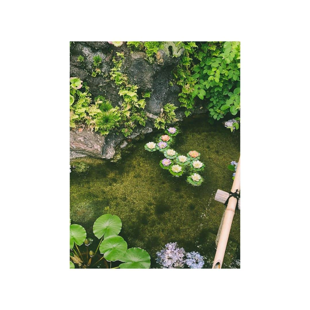 石田佳蓮のインスタグラム：「☻  invisible🤍」