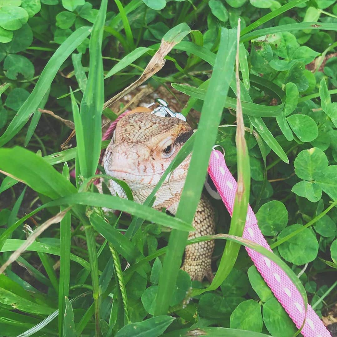 赤荻百華のインスタグラム