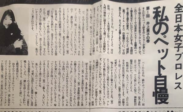 井上貴子のインスタグラム：「約30年前。 まだトイプードルは そんなに流行ってなくて…  なのに出逢えたんだね。  突然アタシと生活することになった 「べーたん」 （別府でプレゼントしてもらったので本名はべっぷちゃん←名付け親は北斗晶さん）  まだ下積み仕事もやっていて これからたくさんの試練が待ち受けてるというのに…  1つの命の面倒は見れない。 と一度は断ったものの…  面倒見れないどころか… この子のおかげで 苦しいこと全て乗り越えられた^ ^  べーたんの13回目の命日。  この子の子どもは 「るーじゅ」  べーたんは 紅緒にそっくり。 ちょっと神経質なところとか…（笑）  るーじゅの やることなすこと 柊音にそっくり。 毛の色が違うだけ。  まるで生まれ変わり…  べーたん💛LOVE  そして 心からありがとう💛  大好きなチョコレート 買ってきてあげようね💛  いつもべーたんを預かってくれて 今もべにひおを預かってくれる 全女の社長夫人が このいつぞやの記事を送ってきてくれたー。  ありがたい^ ^  そして今夜20時 イチナナ配信で^ ^  Happyで^ ^  コロナ禍に携わる 全てのお仕事の皆様。  心から 感謝しています。  九州の 豪雨災害に遭われた皆様 心より お見舞い申し上げます。  #井上貴子  #LLPWX #女子プロレス #紅緒と柊音 #トイプードル #13回目の命日 #べーたん #虹の橋 #生前可愛がってくれた全ての方に感謝します #イチナナライブ配信本日20時 #Twitterも見てね #感謝 #STOPCOVID19」