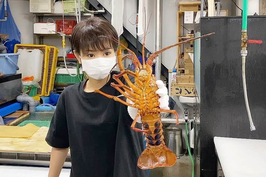 スーパーナブラさんのインスタグラム写真 - (スーパーナブラInstagram)「． ． 今夜はエビです🦐 ． カニよりエビが大好きな人いますか？ エビうまいですよねえ😊😋🤤 ． どうやって食べよかなあ？😳？ ． ． 🐟お知らせ🐟 【今夜21時00分】 スーパーナブラチャンネルで 生配信ライブをさせていただきます✨ ． ． #伊勢#伊勢エビ#三重#刺身 #飛行機#温泉#旅館#ホテル#和食#鮭 #グルメ#露天風呂#足湯#GW#車中泊 #景色#釣り#ブラックバス#バス釣り #発見#おでかけ#女子旅#ツーリング #自然#釣り#釣りガール#YouTube#旅行好きな人と繋がりたい」7月21日 14時30分 - supernabura