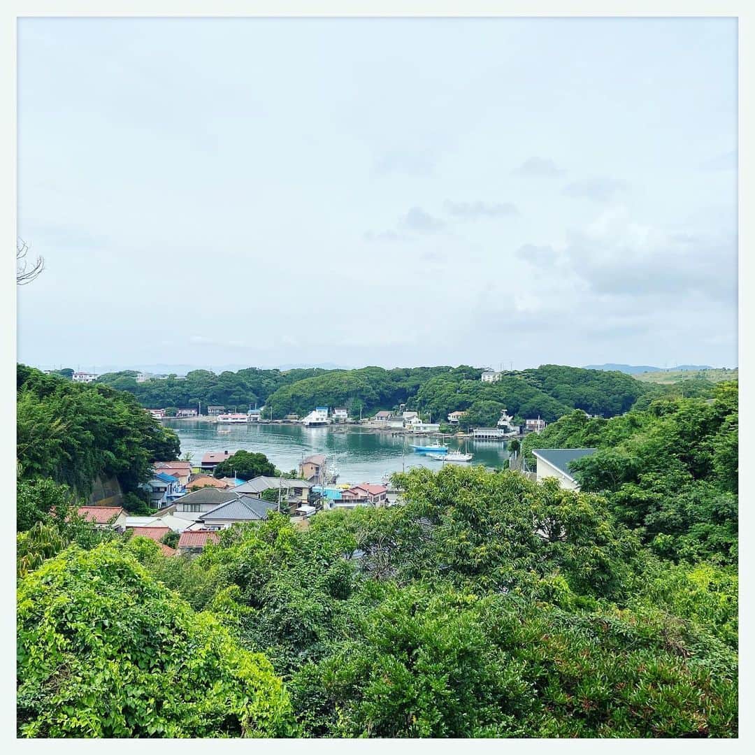 kumikoのインスタグラム：「三浦半島やっぱいい。 今日は久しぶりに三浦を満喫。 緑豊かで穏やかな海、実り多い広い田畑。 改めて感謝！」