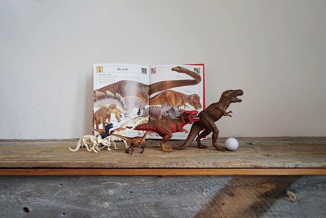 のインスタグラム：「最近、お兄ちゃんが好きだった恐竜の本にそうちゃんもはまってます🦖🦕 本と同じように恐竜を丁寧に並べてるのが可愛い♡卵まで🥚w お兄ちゃんの時は恐竜を投げ捨てるだけだったw 好きな物が同じでも遊び方は全然違う🙄」