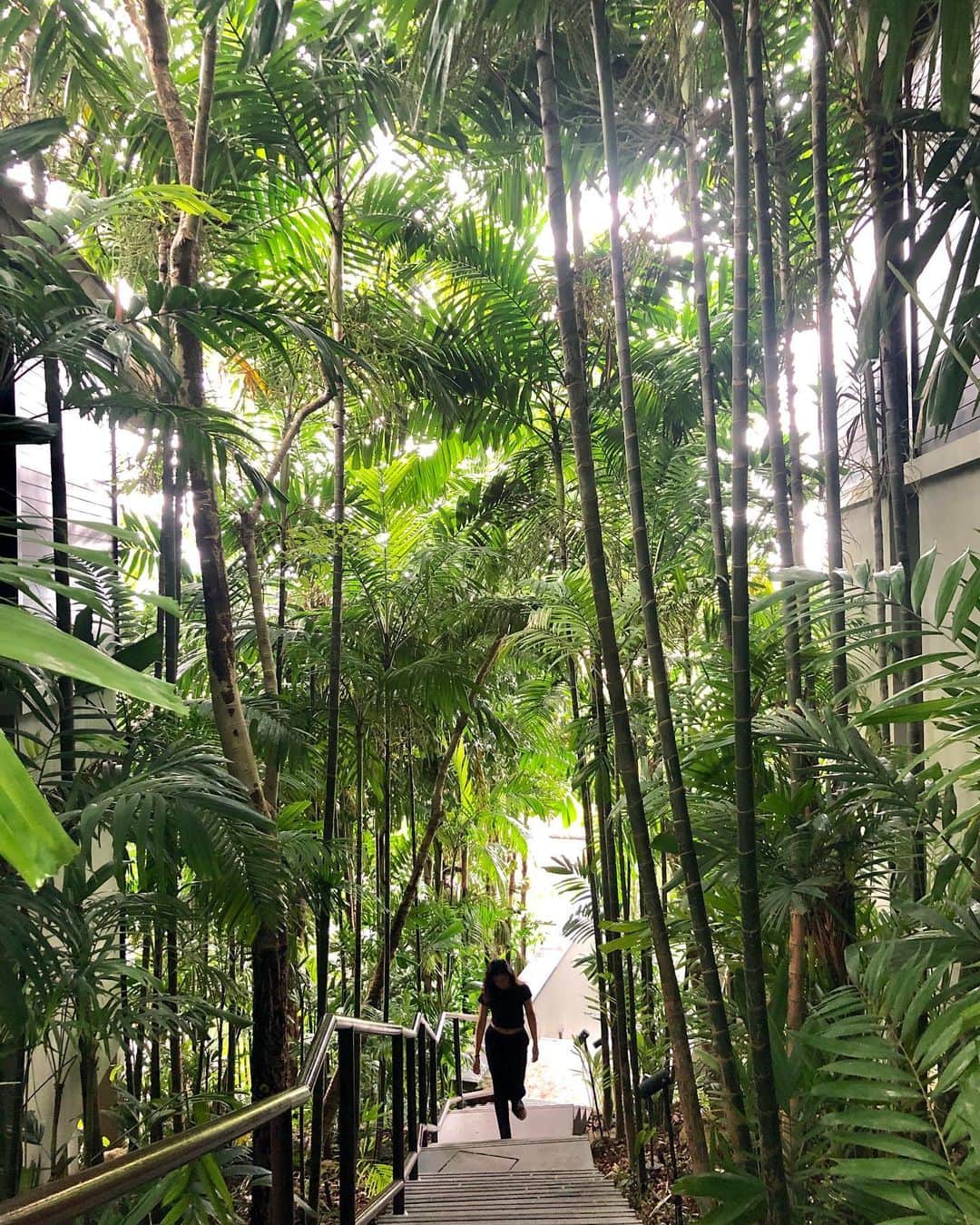 のインスタグラム：「Comfy🌳」