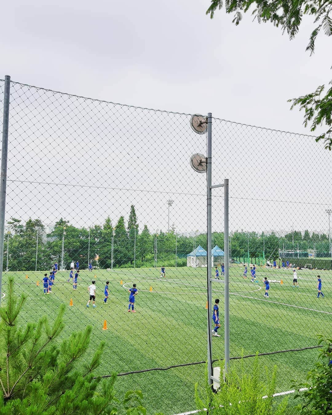 阿部美穂子さんのインスタグラム写真 - (阿部美穂子Instagram)「いつもの週末の風景、サッカー三昧⚽️ サッカーママ友の手作りスイカのお餅 (ペクソルギという韓国餅の一種)に🍉 大興奮可愛すぎて食べれないのに 大感動の味💕 주말은 축구축구~~~⚽️⚽️ 축구친구맘이 만드신 수박떡에 완전빠지고 넘 예쁜데 감동의 맛까지~~🍉 한국의 사랑하는 맛=떡💕 #父に買ってもらった#新しい#スパイクは #練習試合#で切れました#👊#⚽️ #아빠가사준새로운#축구화#연습경기로 #이모습ᆢ#다리를#지켜줘서#고마워#👟 #love lovelove#soccer」7月21日 16時20分 - miiko904