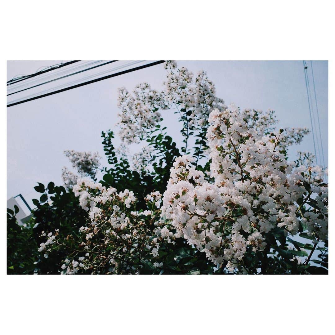 南條愛乃さんのインスタグラム写真 - (南條愛乃Instagram)7月21日 16時32分 - nanjolno