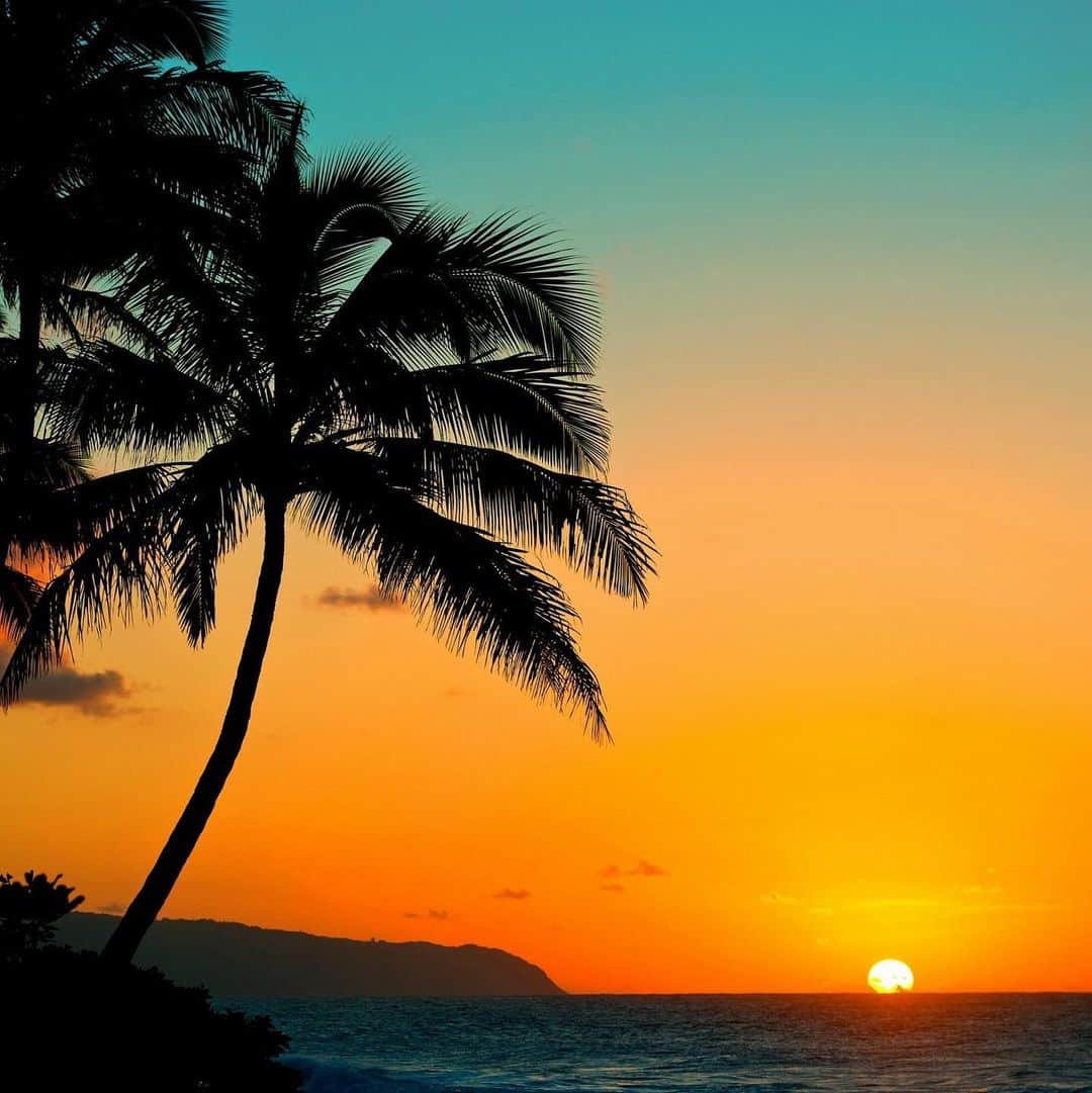 クラーク・リトルさんのインスタグラム写真 - (クラーク・リトルInstagram)「🌴🌞 #Hawaii #paradise #clarklittle 🆑」7月21日 16時33分 - clarklittle