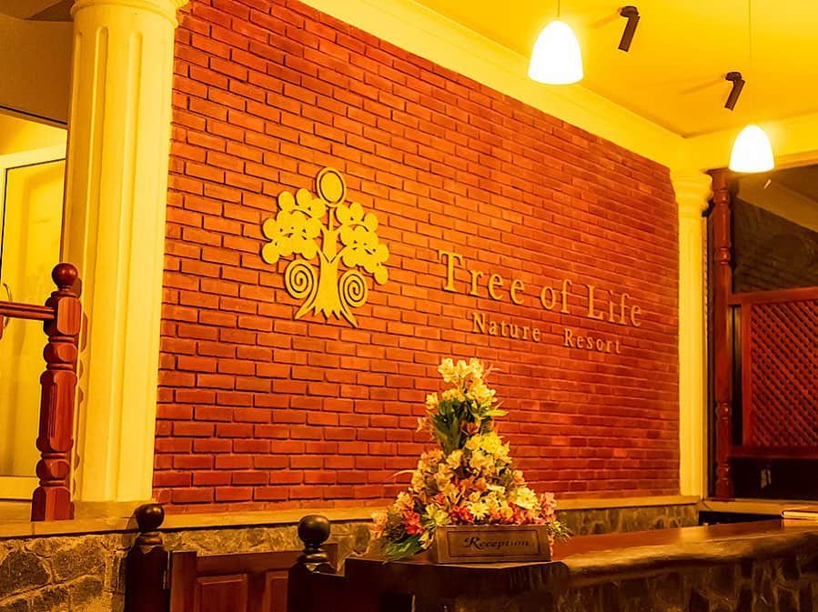 生活の木 Tree of life 【公式Instagram】さんのインスタグラム写真 - (生活の木 Tree of life 【公式Instagram】Instagram)「スリランカの古都キャンディにあるネイチャーリゾートホテル、Hotel Tree of life 公式インスタグラムのご紹介です。   スリランカの光り輝く大自然の中で、人間の本来あるべき健やかで幸せな過ごし方を提案しています。  現地に安心して行けるようになるまで、写真でスリランカの自然を感じていただければ幸いです。   @treeoflife_resort   ぜひチェックしてみてくださいね。   #hoteltreeoflife #アーユルヴェーダ #スリランカ #キャンディ #ネイチャーリゾート #自然  #バーチャル旅行 #いつか行きたい #リゾート  #自然と暮らす #ナチュラルな暮らし #ウェルネス #ウェルビーイング  #生活の木  #srilanka #kandy #hotel #ayurveda #ayurvedic #lifestyle」7月21日 16時34分 - treeoflife_official