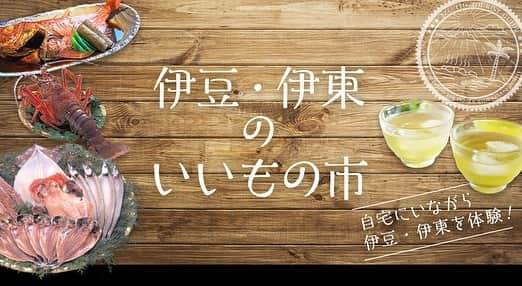 伊東市公式アカウントのインスタグラム