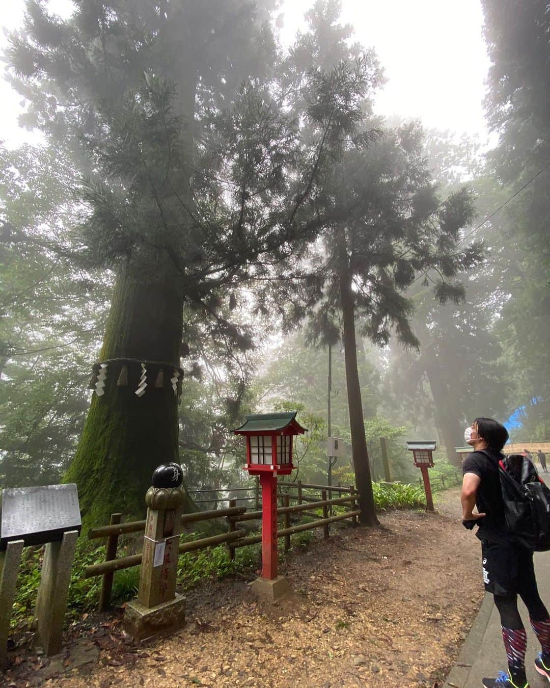 宮崎大輔さんのインスタグラム写真 - (宮崎大輔Instagram)「トレーニング&リハビリで登山❗️高尾山行ってきました‼️ めっちゃ体力落ちててビックリした… 小さなことからコツコツと‼️  #日本体育大学 #ハンドボール #リハビリ #高尾山 #宮崎大輔 #handball #bennu #山登り #training #refresh」7月21日 17時43分 - daisuke7_official