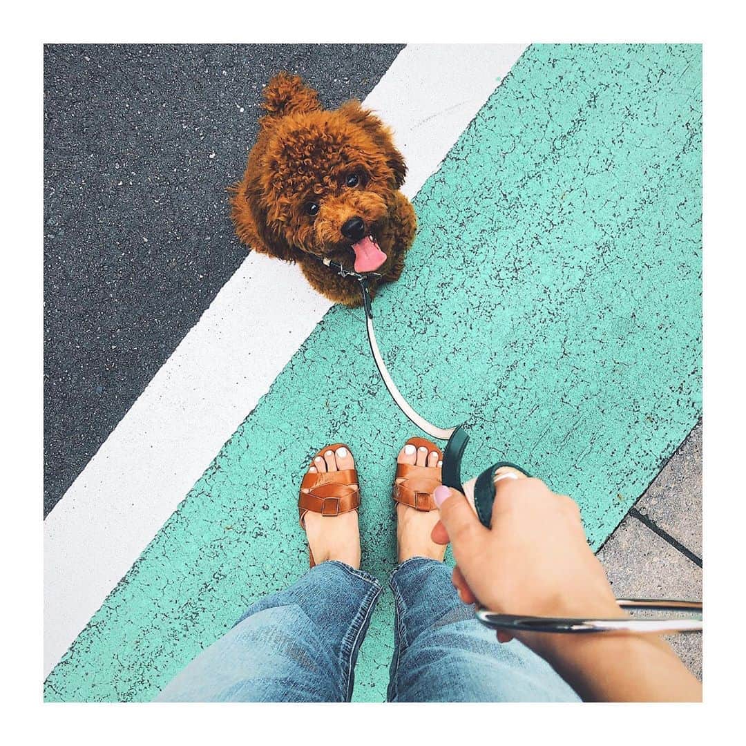 RisaWisteriaのインスタグラム：「お泊まり保育終了🐶 Naraにはdark greenがよく似合う❤️ 私がデザインしたこのDogアクセサリーについては8月頭に詳しくみんなにお知らせできるよ✨✨」