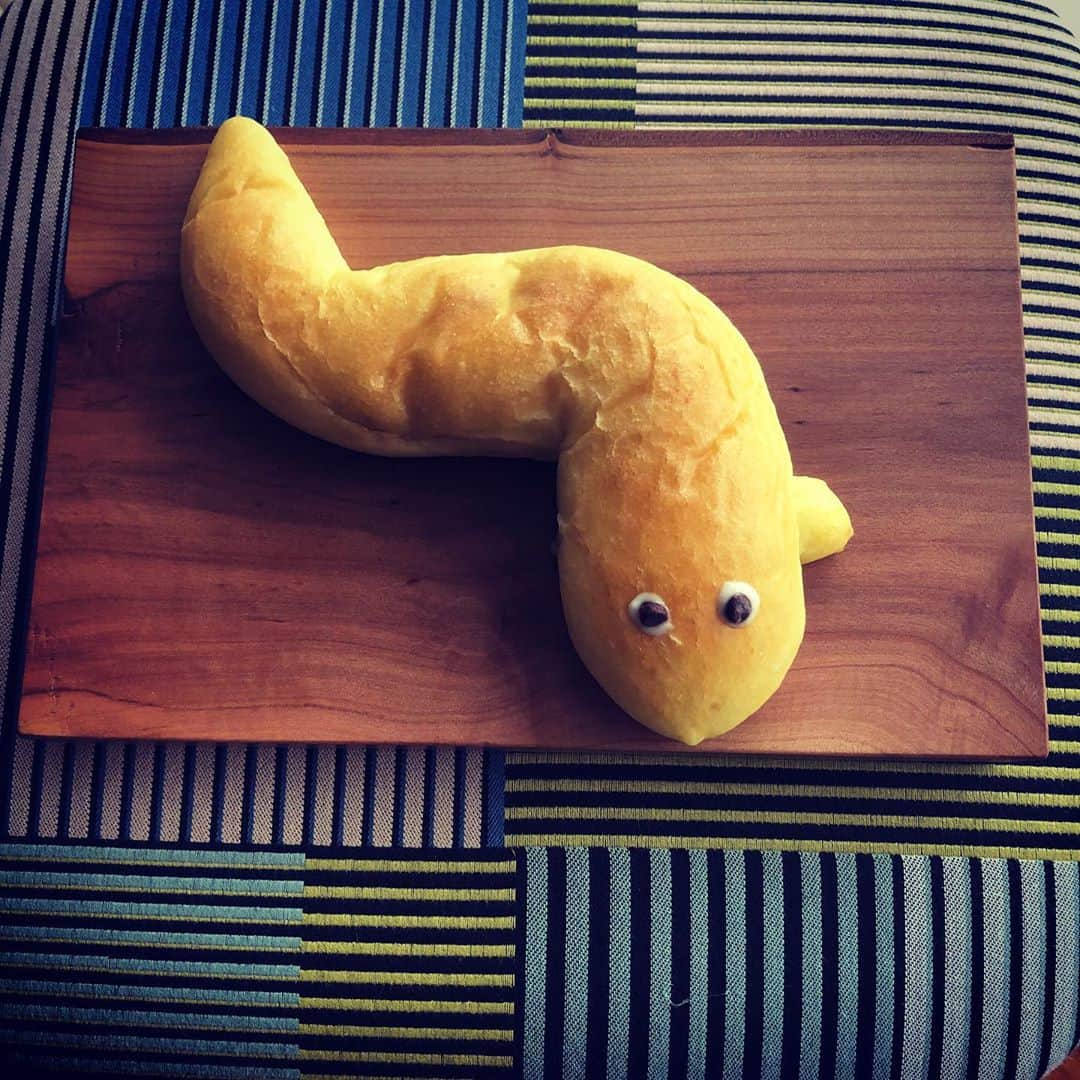 肘井美佳さんのインスタグラム写真 - (肘井美佳Instagram)「Today's breakfast for the day people eat eels to prevent exhaustion from the summer heat.  土用の丑の日の朝食。 うなぎチョコバナナパン。 中のバナナがヌルヌルしてた。  #eels #breakfast #土用の丑の日 #うなぎだけでなく、うのつく食べ物を食べるらしい #なんだろう… #うどん #うまい棒 #うちカフェスイーツ #ウーロン茶 #などなど」7月21日 18時26分 - mikahijii