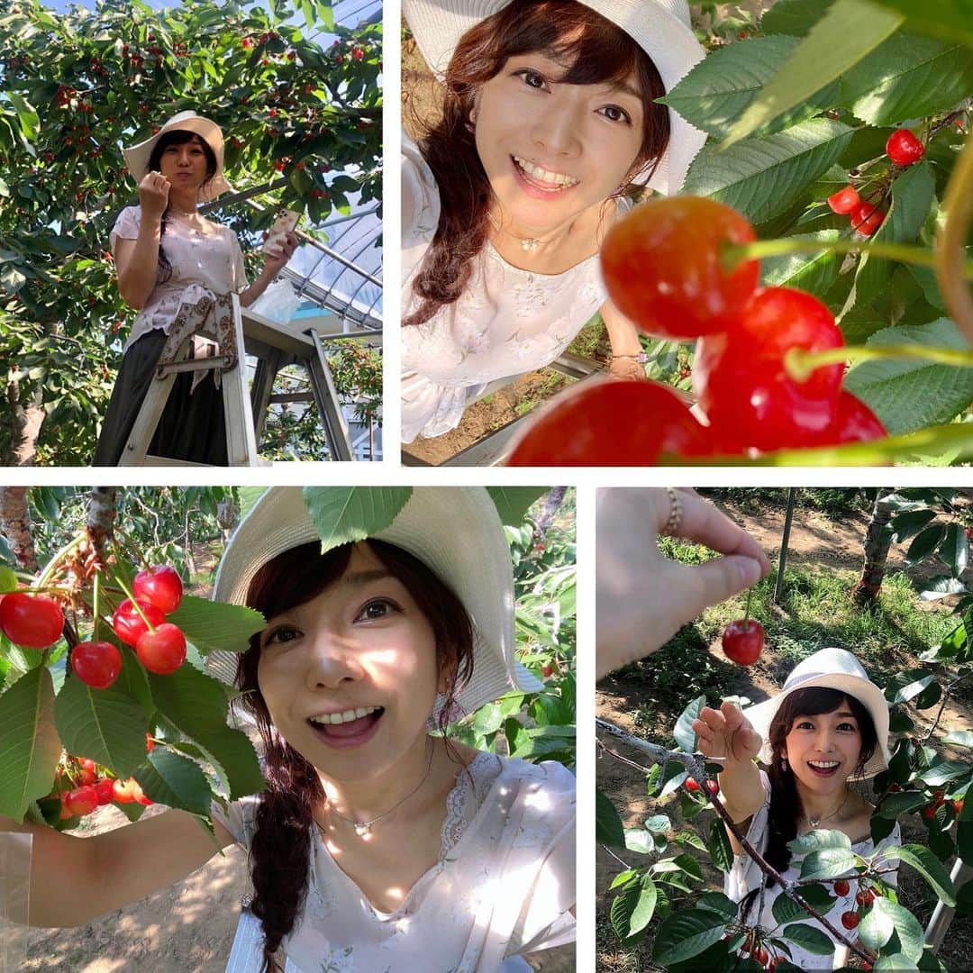 佐藤彩さんのインスタグラム写真 - (佐藤彩Instagram)「先日行ってきた、さくらんぼ狩り🍒  大堀結衣アナ、森田絹子アナ、2人ともかわいすぎです🥺✨  いい写真がたくさんありますよ☺️  絹子カメラマンは独特の姿勢と感性で、「これはカレンダーものです！」と、自信作も撮影してくれました😊  感染予防をしっかりして、美味しいさくらんぼをいっぱい食べて…🍒 大満足の楽しい時間でした😆🍒  #さくらんぼ #🍒  #さくらんぼ狩り #札幌 でも楽しめる #楽しいひととき  #この日も食べまくった #100粒以上食べた #さくらんぼ好き #さくらんぼが似合う #2人がかわいすぎる #HBC #北海道放送 #アナウンサー #大堀結衣 アナ  #森田絹子 アナ　#佐藤彩」7月21日 18時48分 - hbc_ayasato