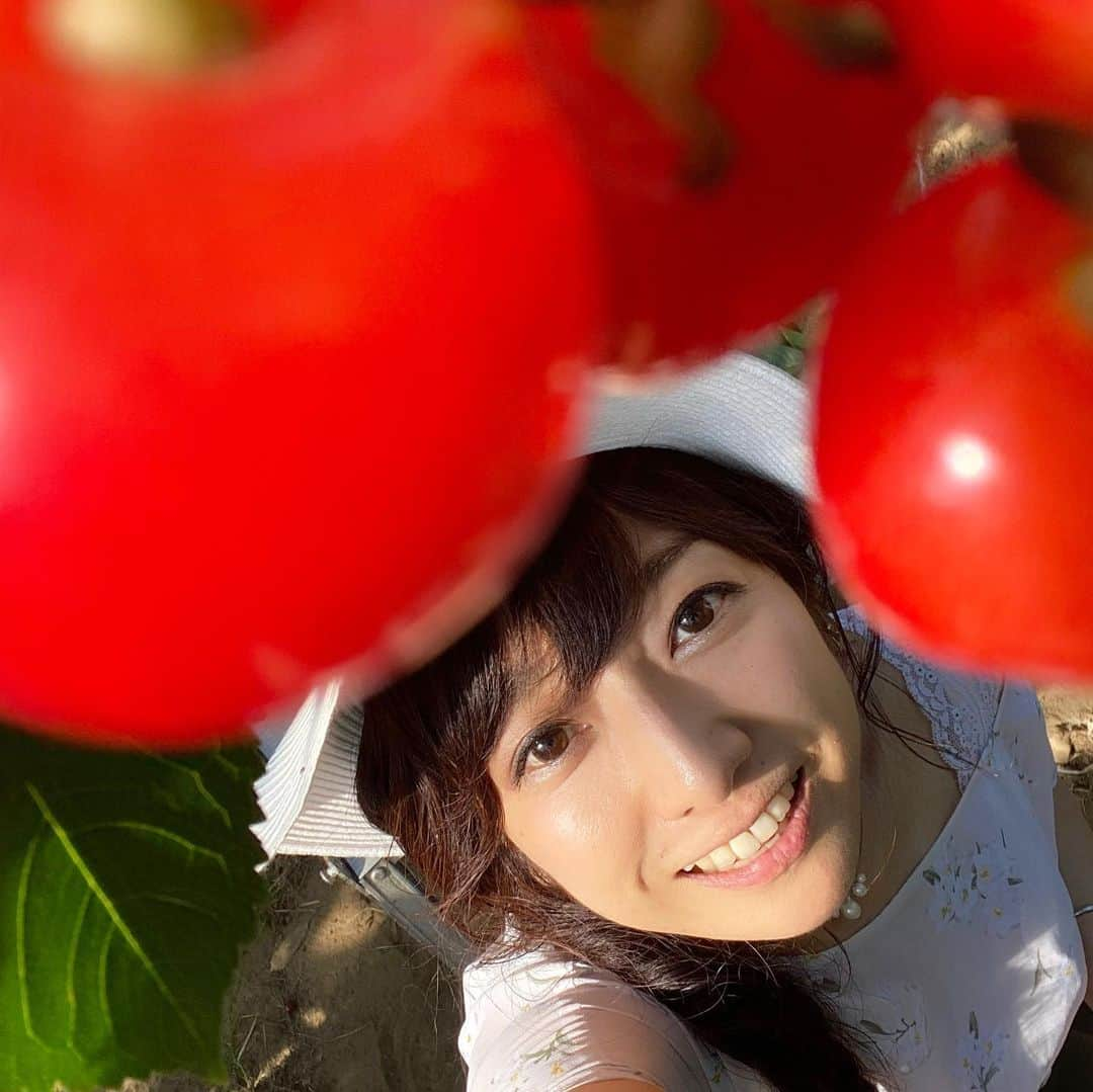 佐藤彩さんのインスタグラム写真 - (佐藤彩Instagram)「先日行ってきた、さくらんぼ狩り🍒  大堀結衣アナ、森田絹子アナ、2人ともかわいすぎです🥺✨  いい写真がたくさんありますよ☺️  絹子カメラマンは独特の姿勢と感性で、「これはカレンダーものです！」と、自信作も撮影してくれました😊  感染予防をしっかりして、美味しいさくらんぼをいっぱい食べて…🍒 大満足の楽しい時間でした😆🍒  #さくらんぼ #🍒  #さくらんぼ狩り #札幌 でも楽しめる #楽しいひととき  #この日も食べまくった #100粒以上食べた #さくらんぼ好き #さくらんぼが似合う #2人がかわいすぎる #HBC #北海道放送 #アナウンサー #大堀結衣 アナ  #森田絹子 アナ　#佐藤彩」7月21日 18時48分 - hbc_ayasato