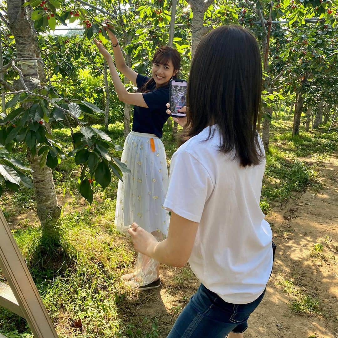 佐藤彩さんのインスタグラム写真 - (佐藤彩Instagram)「先日行ってきた、さくらんぼ狩り🍒  大堀結衣アナ、森田絹子アナ、2人ともかわいすぎです🥺✨  いい写真がたくさんありますよ☺️  絹子カメラマンは独特の姿勢と感性で、「これはカレンダーものです！」と、自信作も撮影してくれました😊  感染予防をしっかりして、美味しいさくらんぼをいっぱい食べて…🍒 大満足の楽しい時間でした😆🍒  #さくらんぼ #🍒  #さくらんぼ狩り #札幌 でも楽しめる #楽しいひととき  #この日も食べまくった #100粒以上食べた #さくらんぼ好き #さくらんぼが似合う #2人がかわいすぎる #HBC #北海道放送 #アナウンサー #大堀結衣 アナ  #森田絹子 アナ　#佐藤彩」7月21日 18時48分 - hbc_ayasato