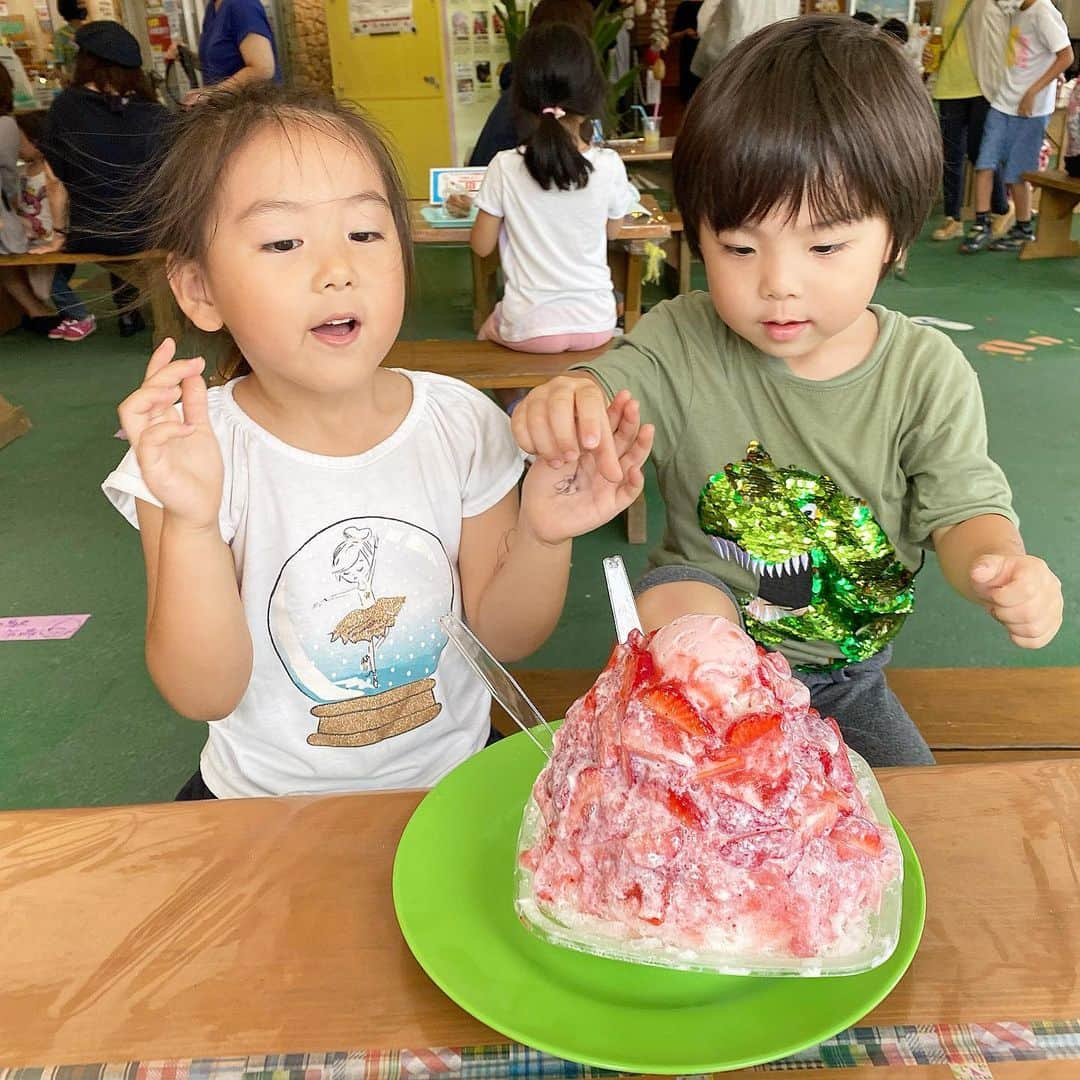 Mika Jimboさんのインスタグラム写真 - (Mika JimboInstagram)「【みんなで特大かき氷〜おんなの駅 Ryu-pin】﻿ ﻿ ﻿ けいぷーとコウくんがたくさん食べてくれてよかった❤️けいぷーの唱えてる呪文みたいなやつちょいちょい白目になってんのがまじで面白い。﻿ ﻿ まじで好きだわ〜🤔﻿ ﻿ ﻿ かき氷自体は美味しかったけど、﻿ まあ、冷凍のフルーツだからそこまで感動はなし！でも大きくて映えるしみんなで分けるのにちょうどいいね✌️子供大喜び〜💯﻿ ﻿ 味でいえばひがし食堂のかき氷のほうが圧倒的に美味しい🍧🍧﻿ ﻿ どこか美味しいかき氷屋さんないですかね？😳❤️﻿  ﻿#沖縄#okinawa#沖縄グルメ#沖縄朝ごはん#沖縄カフェ#沖縄好きな人と繋がりたい#那覇#那覇ランチ#那覇#那覇グルメ#沖縄旅行#沖縄観光#恩納村#恩納村ランチ#恩納村グルメ#恩納村カフェ#おんなの駅#恩納の駅#ryupin#りゅうぴん#かき氷#かき氷好きな人と繋がりたい」7月21日 19時09分 - mikajimbox