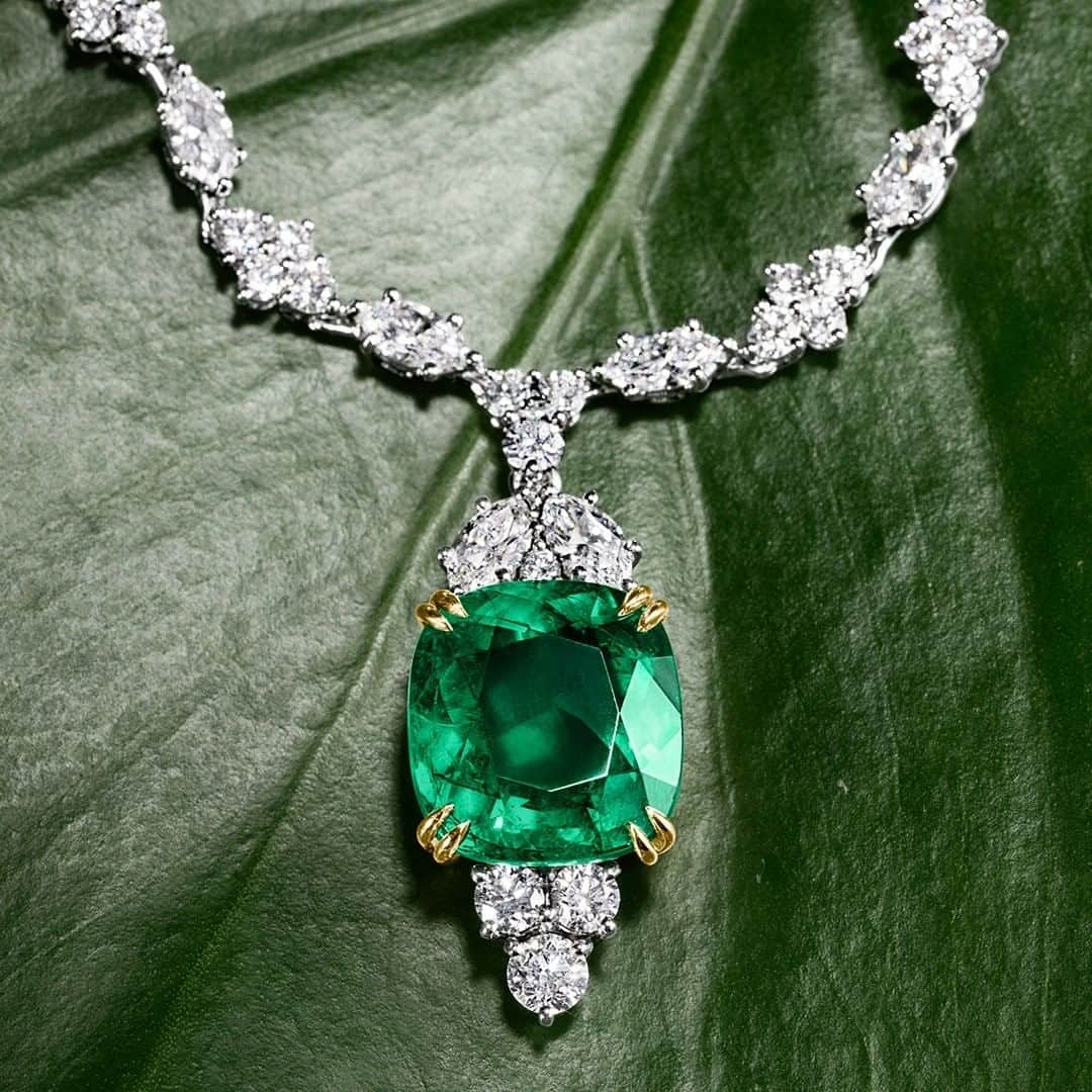 ハリー・ウィンストンさんのインスタグラム写真 - (ハリー・ウィンストンInstagram)「All eyes on the extraordinary emerald. An exceptional jewel that captures the spirit of ‘what nature and man combine to make.’ – #HarryWinston. #WinstonSummer #HighJewelry」7月21日 19時31分 - harrywinston