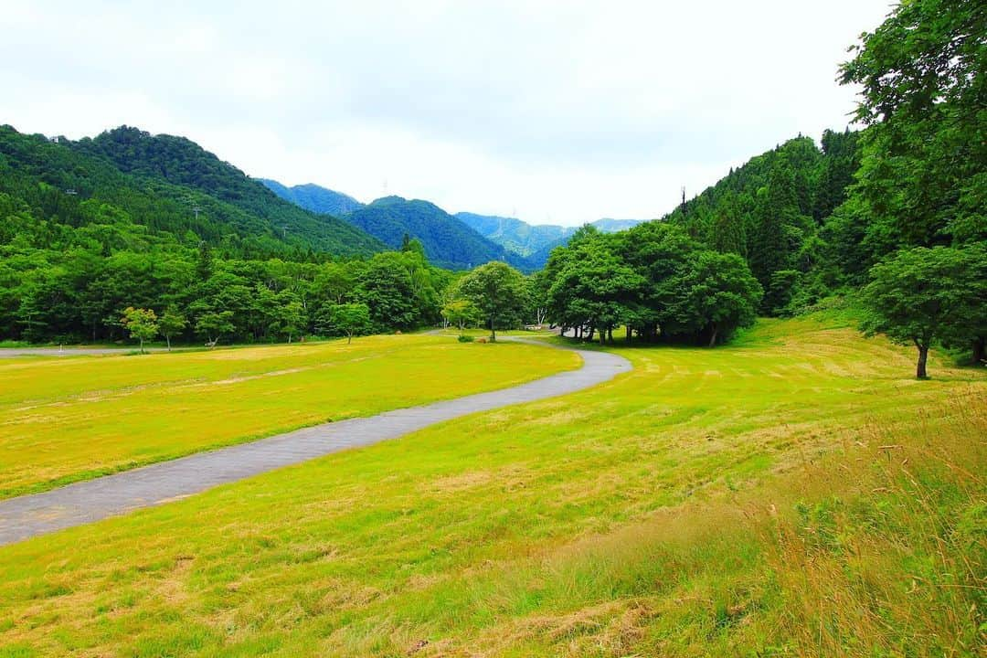 フジロック・フェスティバルさんのインスタグラム写真 - (フジロック・フェスティバルInstagram)「#苗場通信 🌲🌲フジロックグリーン🌲🌲 . . from Naeba #fujirock #fujirockfestival #フジロック」7月21日 19時45分 - fujirock_jp