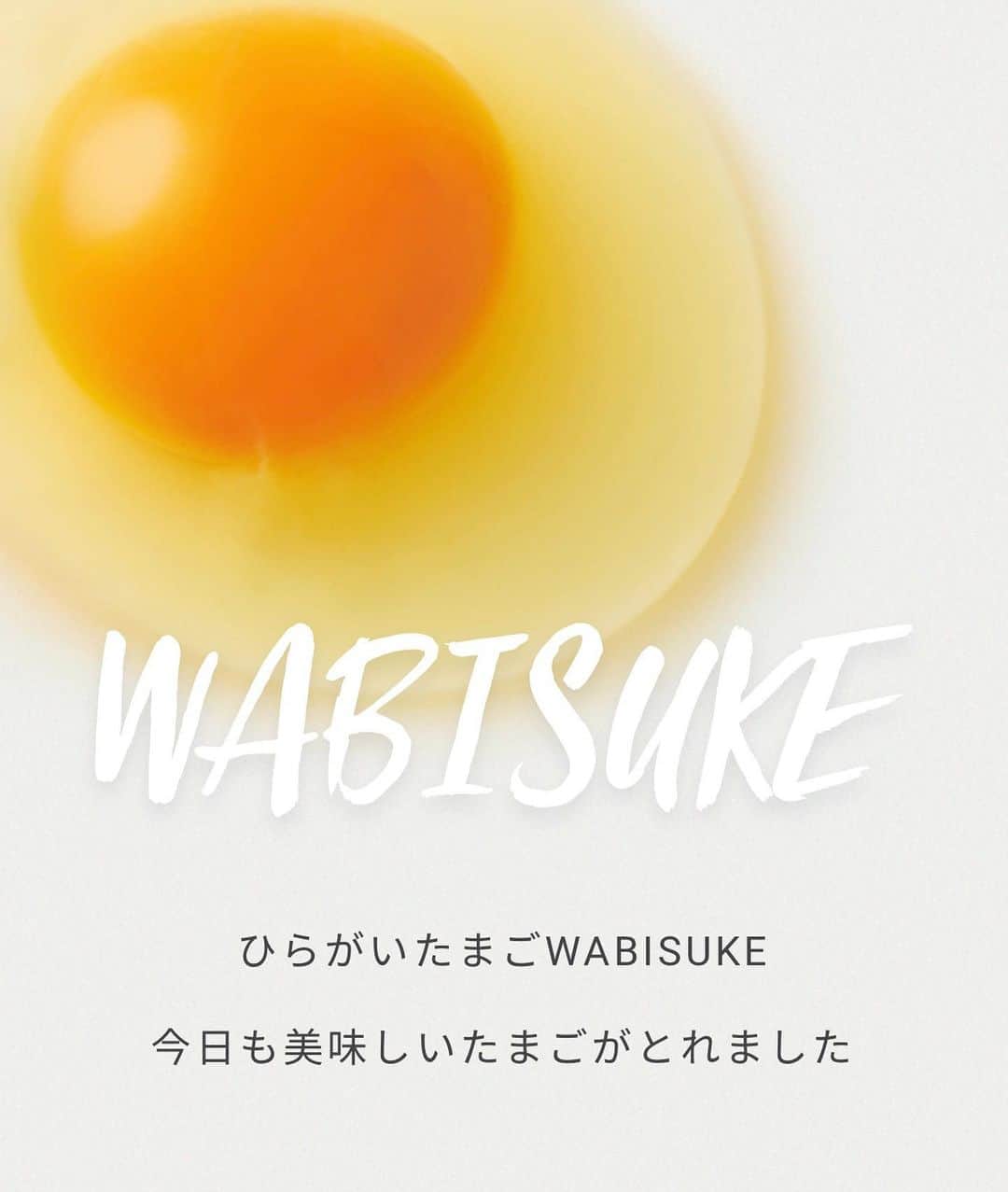 せいなさんのインスタグラム写真 - (せいなInstagram)「宇治の平飼いたまご "WABISUKE"さん✨ ( @wabisuke.egg ) . . 何度かインスタでも登場していた 宇治のとっても美味しいたまごを 今回チャリティギャラリーで 販売します🥚✨ 数量限定なのでお早めにご購入下さい🍀 . . ストレスフリーの養鶏にする事で、鶏が自由に動ける環境で育った卵は絶品です✨ 是非一度、みなさんにも食べて頂きたいなと思い、今回販売させて頂きます🍀✨ 私もWABISUKEさんの卵をたまごかけご飯で良く頂いてるんですが、臭みも無くあっさりとしていて何杯でも食べれちゃうくらい美味しいこだわりの卵です🥚✨ 8月にはオリジナルプリンも商品化するみたいなので、プリンのお味も楽しみです🍮💓 . . 現在はコロナウィルスの影響で飲食店等の買い取り需要も減り、卵が溢れてしまう大変な状況でもあるので、是非こだわりの卵を少しでも救って欲しいなと思います🙇‍♀️ . . 詳しい説明はスクロールして下さい🍀✨ サイトはこちら💁‍♀️ http://www.eggwabisuke.com/ . . . instagram:@kamozen.kyoto 和雑貨:@charmofkamozen HP: https://www.kamozen.com/ . .☎​08031939893 kamozen.gallery@gmail.com 加茂禅マネージャー　 加茂　世唯奈　　 . . #kyoto #japan #gallery #kyotostay #hotel #japanese #beautiful #kamozen #kamozenkyoto #WABISUKE #egg #charmofkamozen #加茂禅 #京都 #京都ギャラリー #町家ギャラリー #和紙ライト #和紙雑貨 #ワークショップ #そうだ京都へ行こう #チャリティギャラリー #平飼いたまご　#宇治　#養鶏場」7月21日 19時46分 - seina_k0403