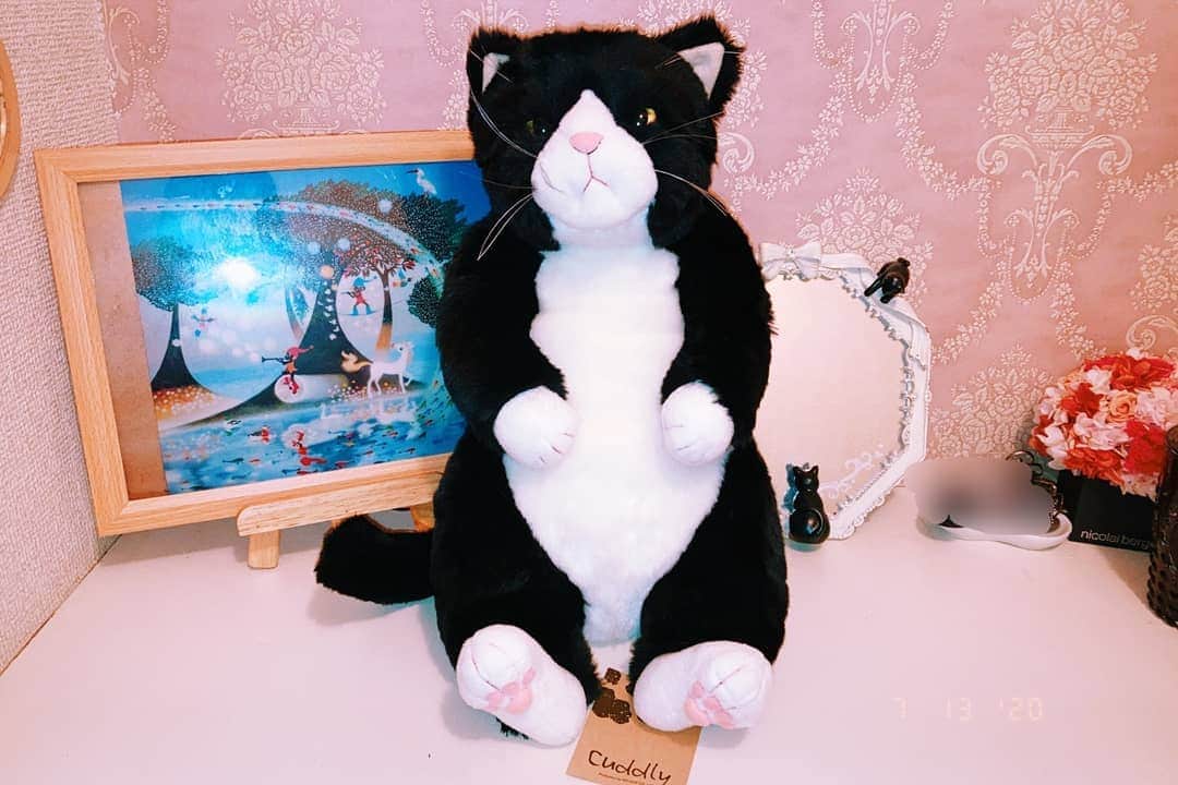 小見川千明さんのインスタグラム写真 - (小見川千明Instagram)「念願の猫さんのぬいぐるみをお迎えしましたฅ(*°ω°*ฅ)*✧*｡ . . すっごく すっごく迷った結果 黒と白の猫さんにしました。 . . この猫さん自体にとても凝った設定があるのですが、ご興味がある方は甚五郎で調べてみてください。笑 . . . . . .. #写真 #photo  #filmcamera #natural  #smile  #filmphotography #film #フィルムカメラ #anime #game #manga #comic #model #被写体 #voiceactor #voiceactress #配音演员 #声優 #Japan #kawaii #kawaiigirl #model #被写体 #小見川千明  #小千姬 #甚五郎」7月21日 19時53分 - chiaki_omigawa