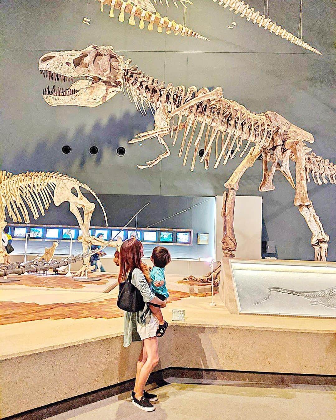 奥山絵里奈さんのインスタグラム写真 - (奥山絵里奈Instagram)「先日久々の#箱根観光 ！  #生命の星地球博物館 に初訪問！  #恐竜の模型　が大きくてびっくり顔に笑  恐竜が好きな息子は ティラノなの？とか興味がありそうで楽しんでいて良かったです！  巨大な恐竜🦖がみれるので 迫力があって楽しめました！  アンモナイトの化石も圧巻です！  #恐竜好き オススメ♩  #恐竜博物館 #恐竜好き#箱根旅行 #hakone #japantravel #dinosaurmuseum #アンモナイト #2歳8ヶ月 #小田原観光#子連れ旅行 #子連れスポット神奈川#ママコーデ #男の子ママコーデ」7月21日 20時38分 - erinaokuyama