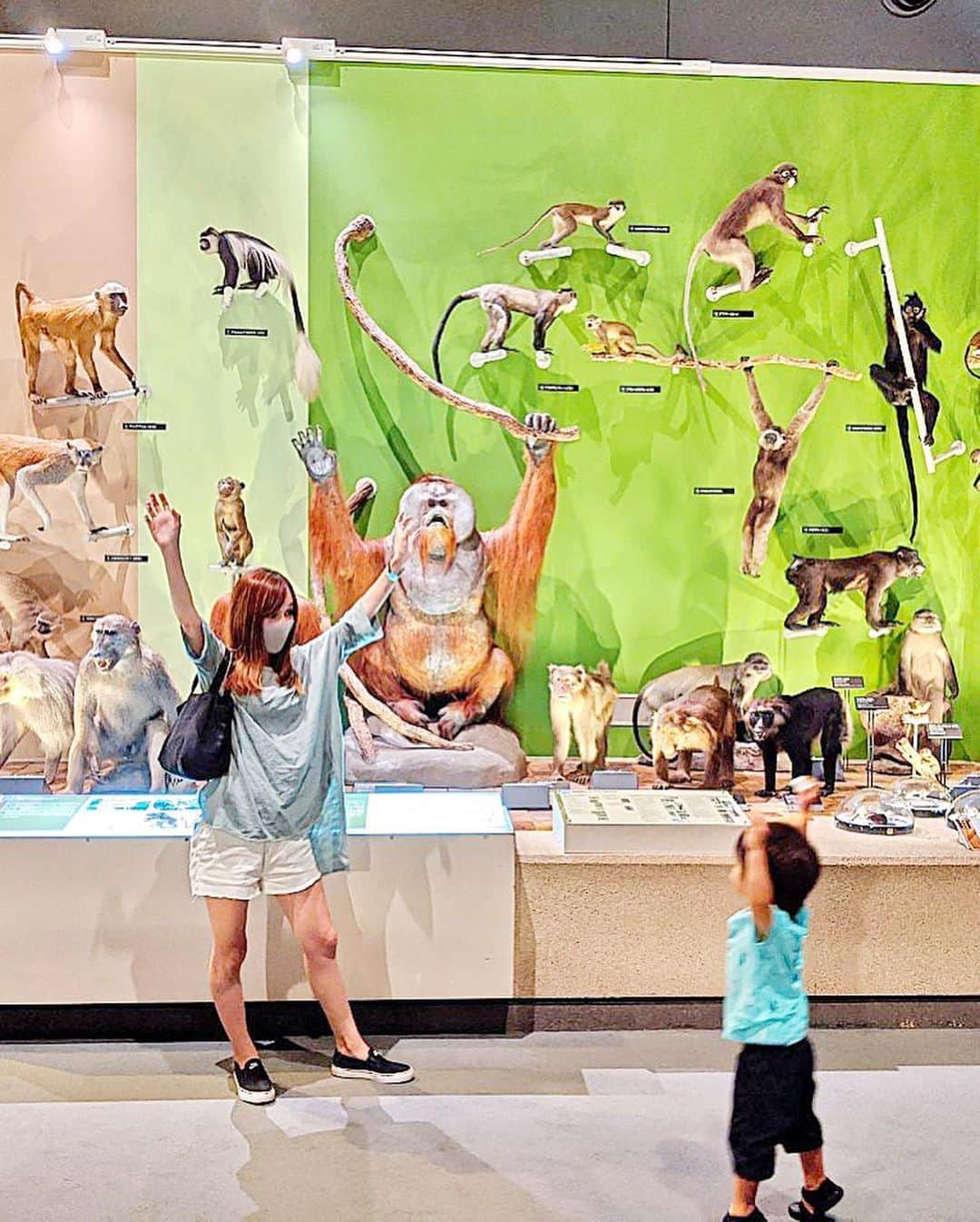 奥山絵里奈さんのインスタグラム写真 - (奥山絵里奈Instagram)「先日久々の#箱根観光 ！  #生命の星地球博物館 に初訪問！  #恐竜の模型　が大きくてびっくり顔に笑  恐竜が好きな息子は ティラノなの？とか興味がありそうで楽しんでいて良かったです！  巨大な恐竜🦖がみれるので 迫力があって楽しめました！  アンモナイトの化石も圧巻です！  #恐竜好き オススメ♩  #恐竜博物館 #恐竜好き#箱根旅行 #hakone #japantravel #dinosaurmuseum #アンモナイト #2歳8ヶ月 #小田原観光#子連れ旅行 #子連れスポット神奈川#ママコーデ #男の子ママコーデ」7月21日 20時38分 - erinaokuyama