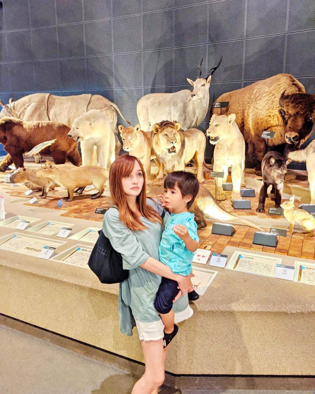 のインスタグラム：「先日久々の#箱根観光 ！  #生命の星地球博物館 に初訪問！  #恐竜の模型　が大きくてびっくり顔に笑  恐竜が好きな息子は ティラノなの？とか興味がありそうで楽しんでいて良かったです！  巨大な恐竜🦖がみれるので 迫力があって楽しめました！  アンモナイトの化石も圧巻です！  #恐竜好き オススメ♩  #恐竜博物館 #恐竜好き#箱根旅行 #hakone #japantravel #dinosaurmuseum #アンモナイト #2歳8ヶ月 #小田原観光#子連れ旅行 #子連れスポット神奈川#ママコーデ #男の子ママコーデ」