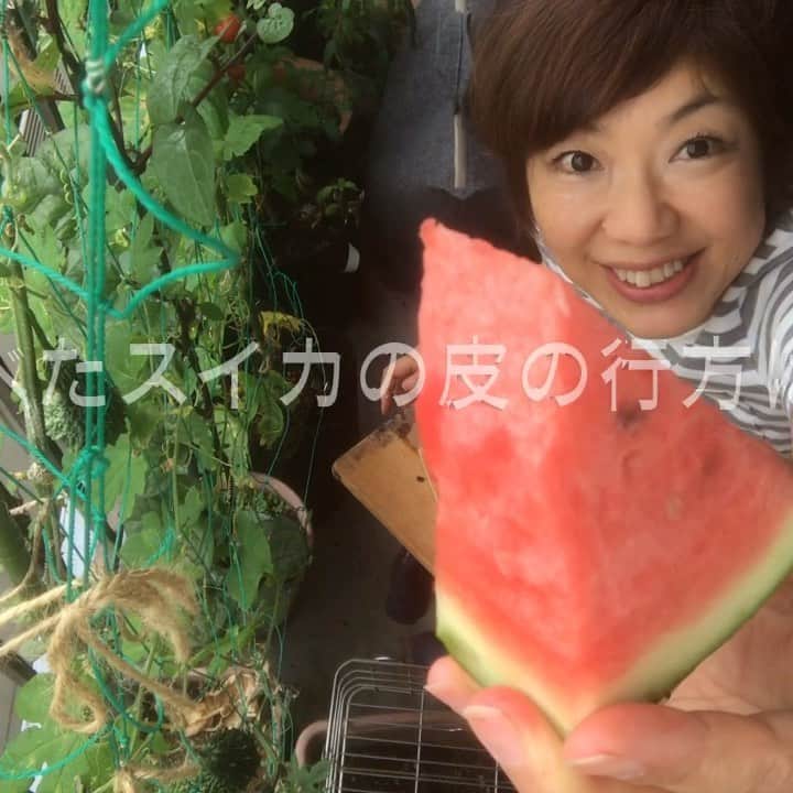 小谷あゆみのインスタグラム：「食べたスイカ🍉🍉🍉の行方は〜⁉️」