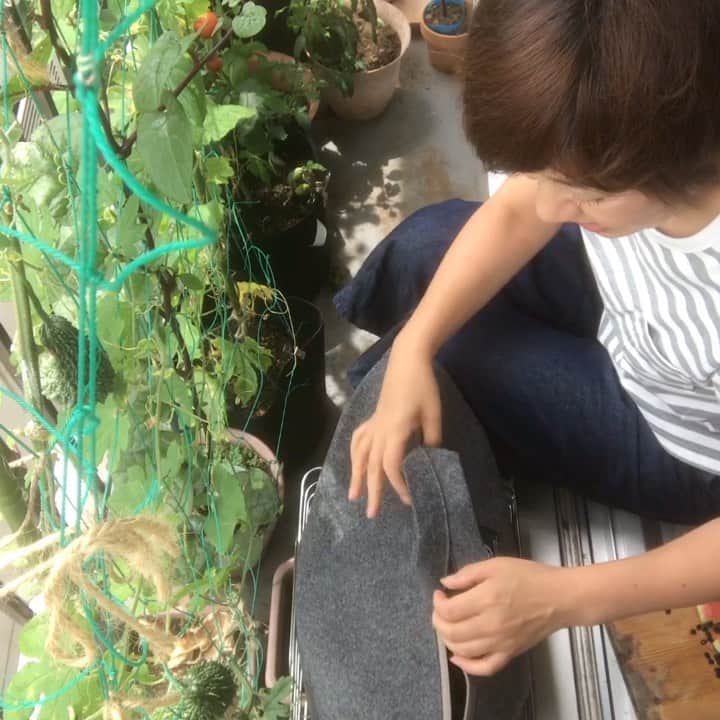 小谷あゆみのインスタグラム：「スイカの皮を誰にあげるクイズー正解を発表しまーす‼️」