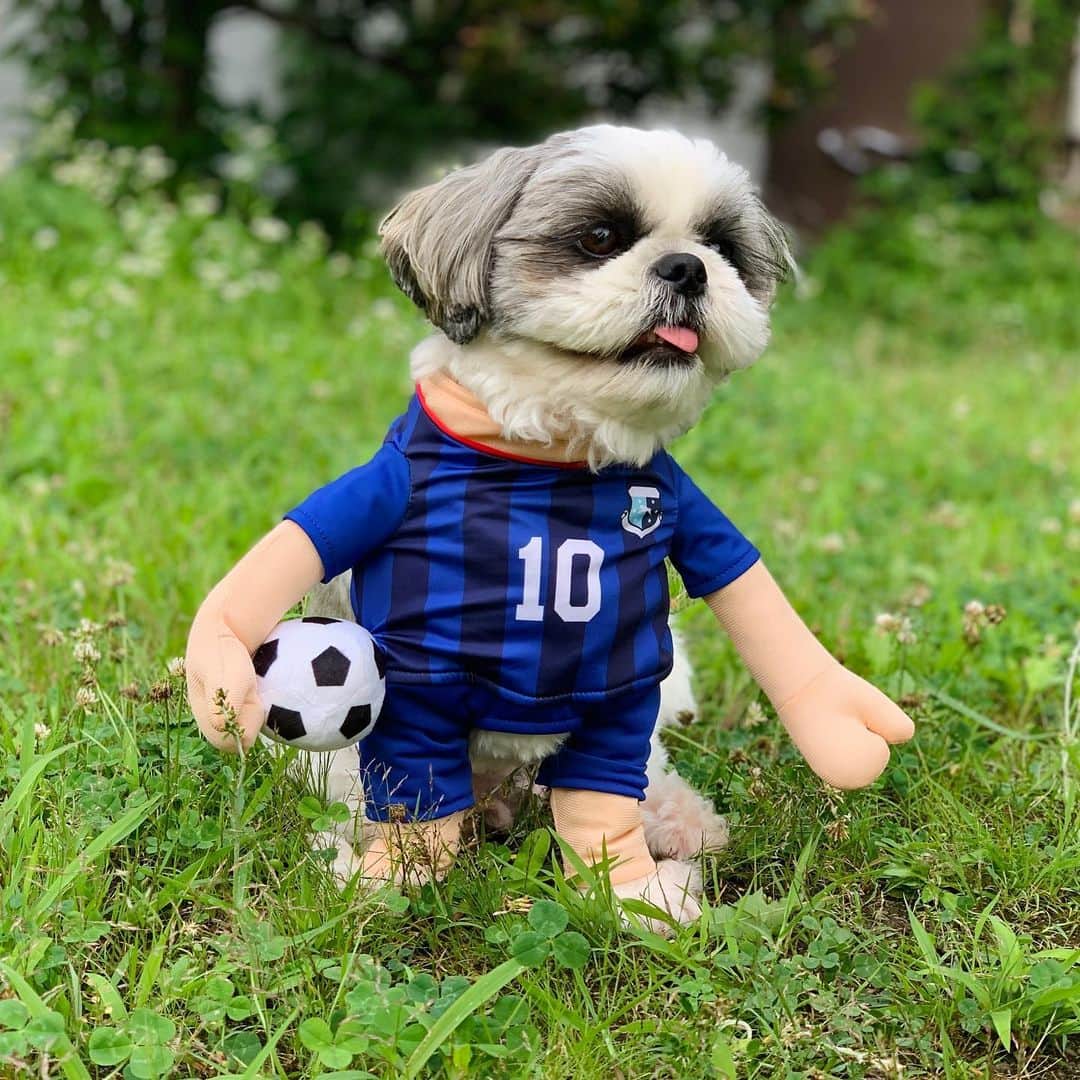 いくらのインスタグラム