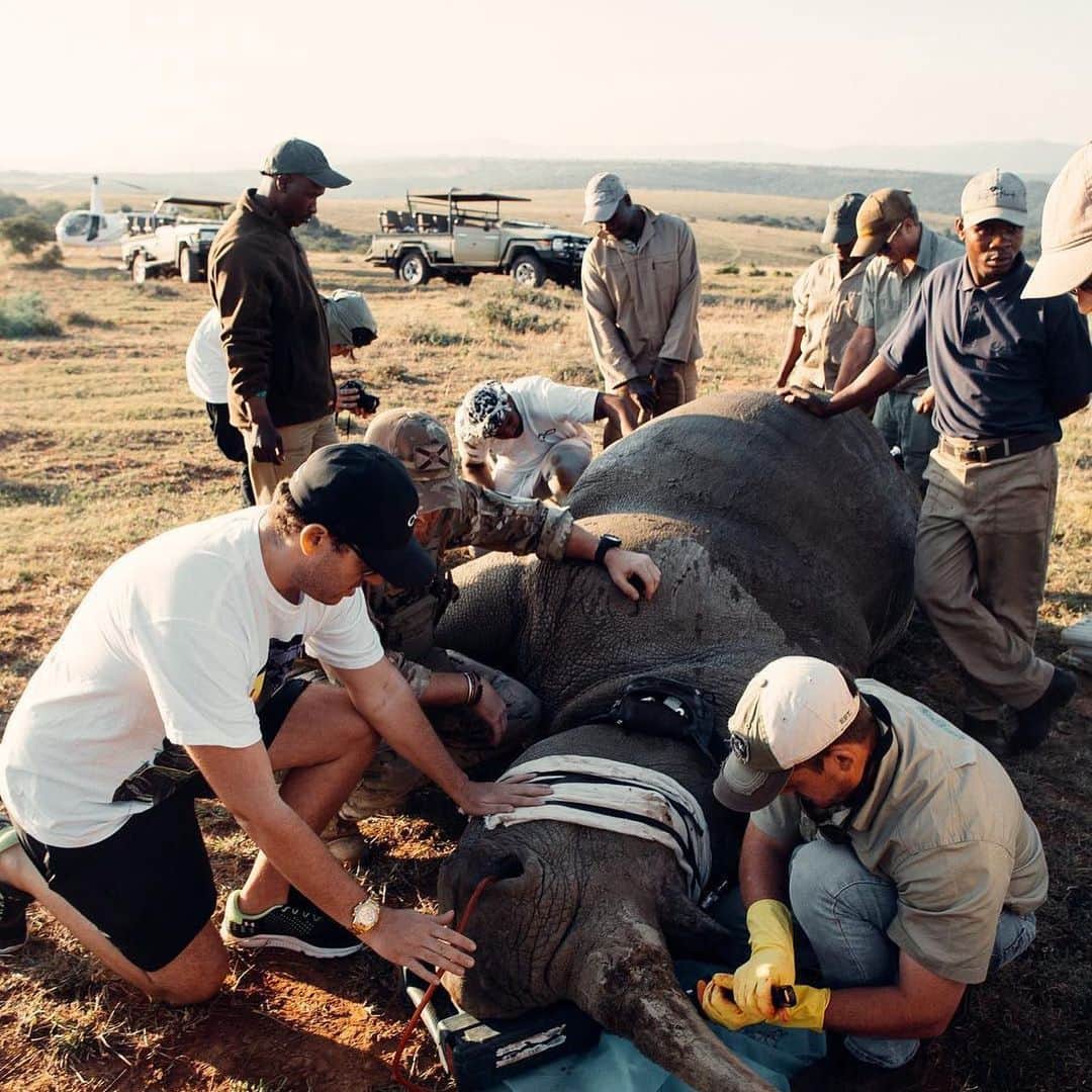 ティモシー・サイクスのインスタグラム：「Many of my followers aren’t happy that my Instagram posts have changed from cash, cars, & beautiful views to building new schools, saving endangered species & helping the environment/animals because most people just want to see positive images that inspire them as that’s what they use social media for. I get that and for those of you who want that, go back and look through my first 3,000 or so posts that offer nothing but inspiring, positive images that I’m still so grateful for to this day. But I think we can use social media for more than just inspiration and instead use it to actually change the world as @karmagawa the charity I co-founded with my brother @badboi is doing because as you go through life, achieving all your dreams & goals like I have (faster than I ever imagined due to my crazy work ethic), and once you travel to enough luxury resorts, buy all your dream cars & toys you’ve ever wanted & take care of your family (which is still my proudest accomplishment of all), you must look for new challenges that motivate you and as I've traveled to more and more places, I've seen how much work we have to do with our planet. Unfortunately, no matter how rich you get, at the rate things are going, there won’t be much of a planet left to enjoy in the next few decades unless we start changing the way we live RIGHT NOW! From prioritizing education and protecting the environment to confronting & ending so many wildlife and humans rights abuses, what better way to reach and educate young people about these issues than on social media? It’s MY HONOR AND DUTY to spread awareness about these issues and support so many incredible charities and @karmagawa and I are just getting started. Ignorance is not bliss so I suggest you not look away and instead learn about these issues because we’re all on the same planet together and sadly too few people realize the damage we’re doing to our world in SO MANY WAYS, we must wake up before it’s too late! #dreambig #teamwork #karmagawa #jewsonamission」