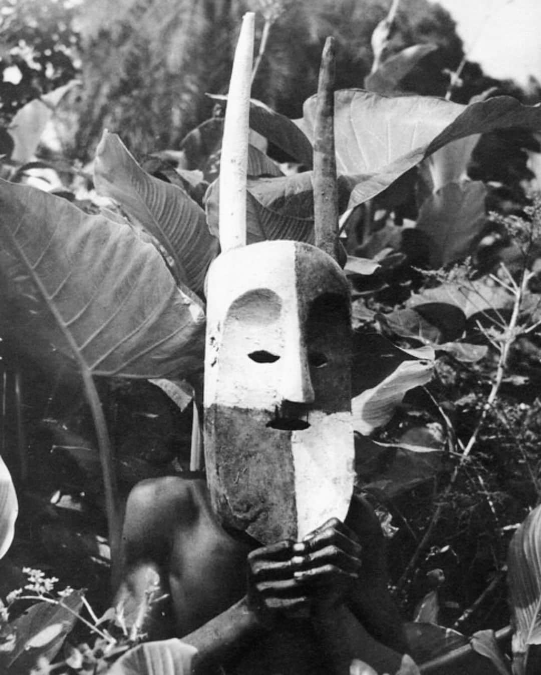 Meganさんのインスタグラム写真 - (MeganInstagram)「Mask, Papua New Guinea 〰 photographer unknown ✨ - - - - #papuanewguinea #mask」7月22日 6時28分 - zanzan_domus